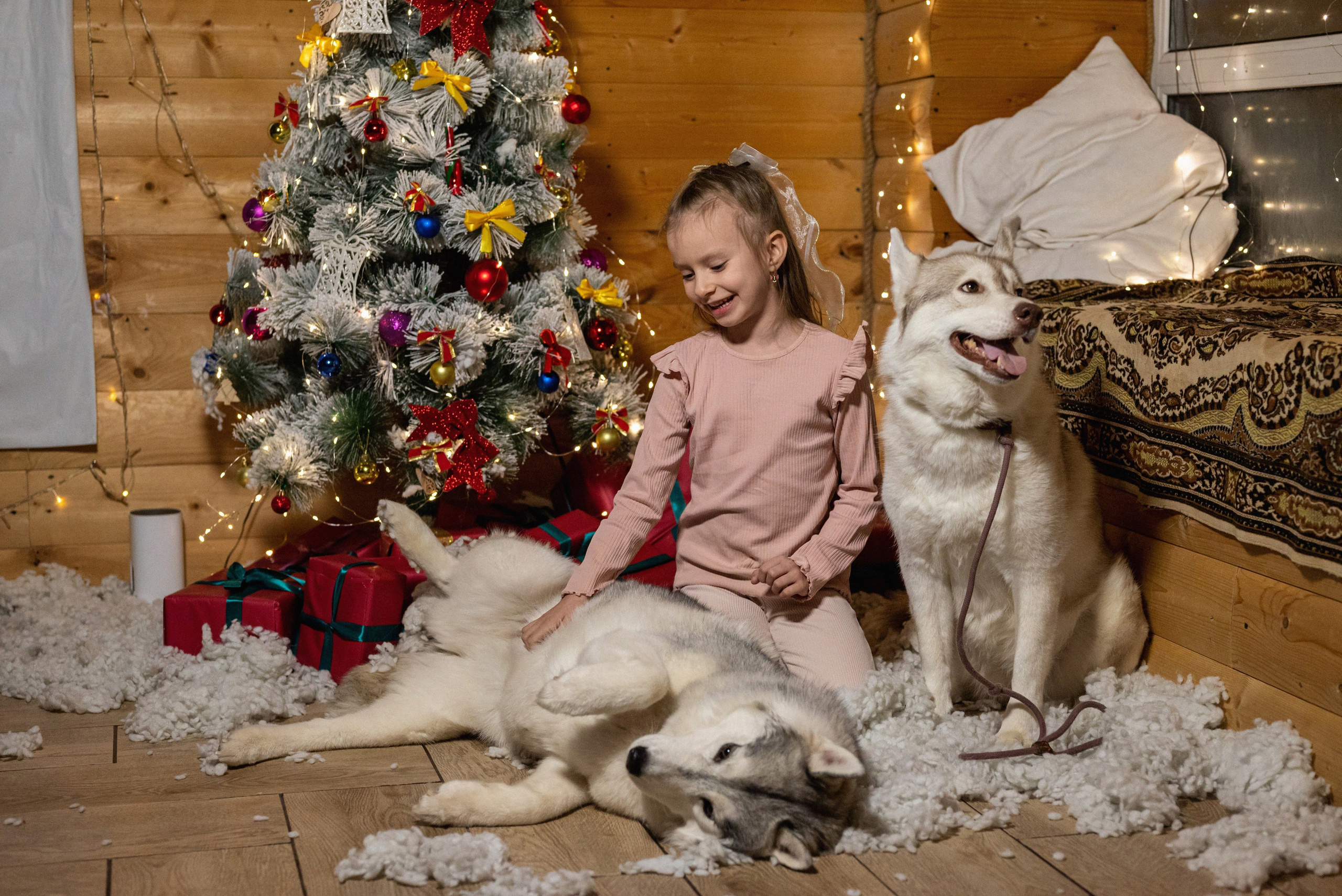 Фотопроект с хаски 2024 г. Фотограф в городе Салават