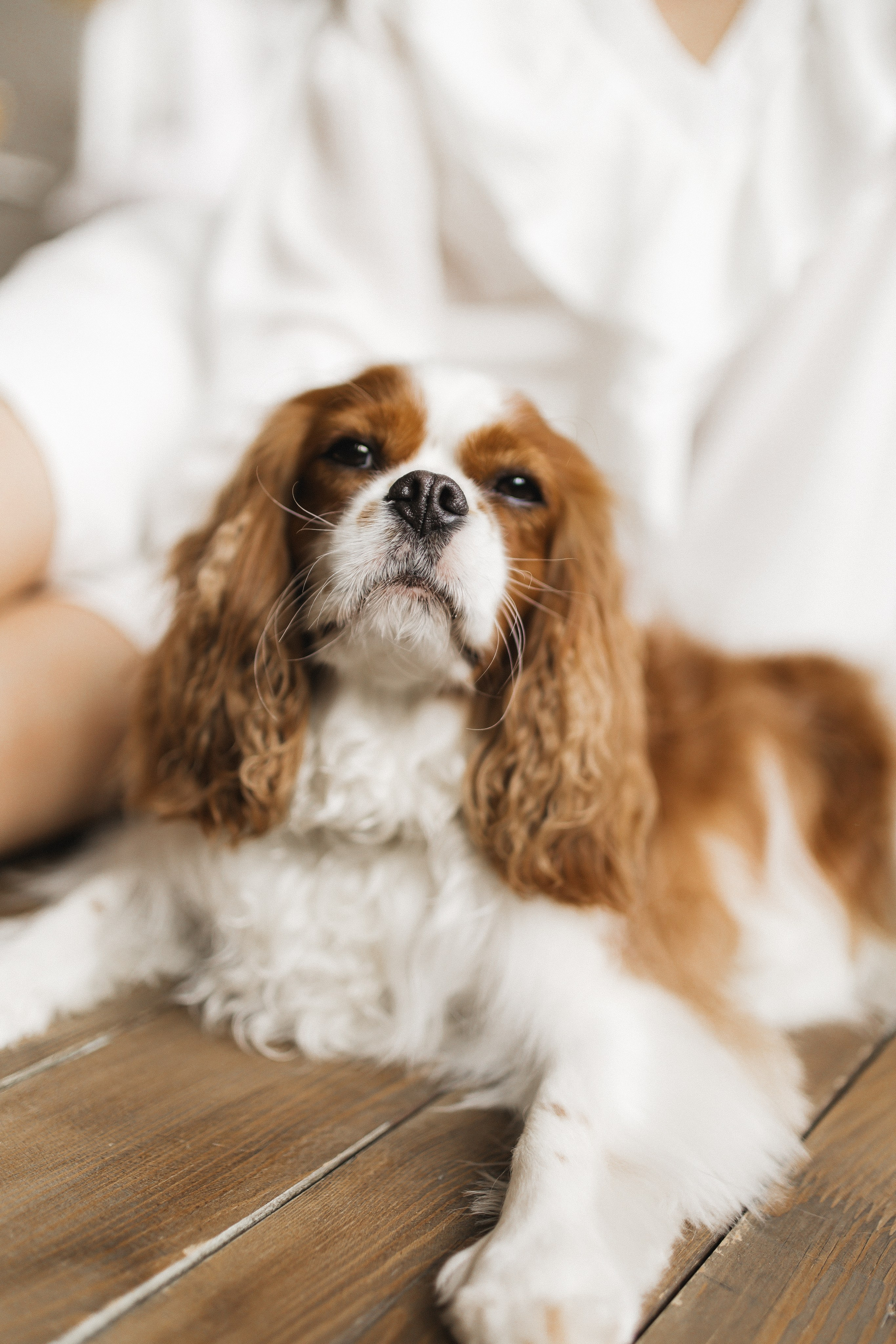 Дарина и Лада. Семейный и свадебный фотограф в Екатеринбурге Орлова Ирина