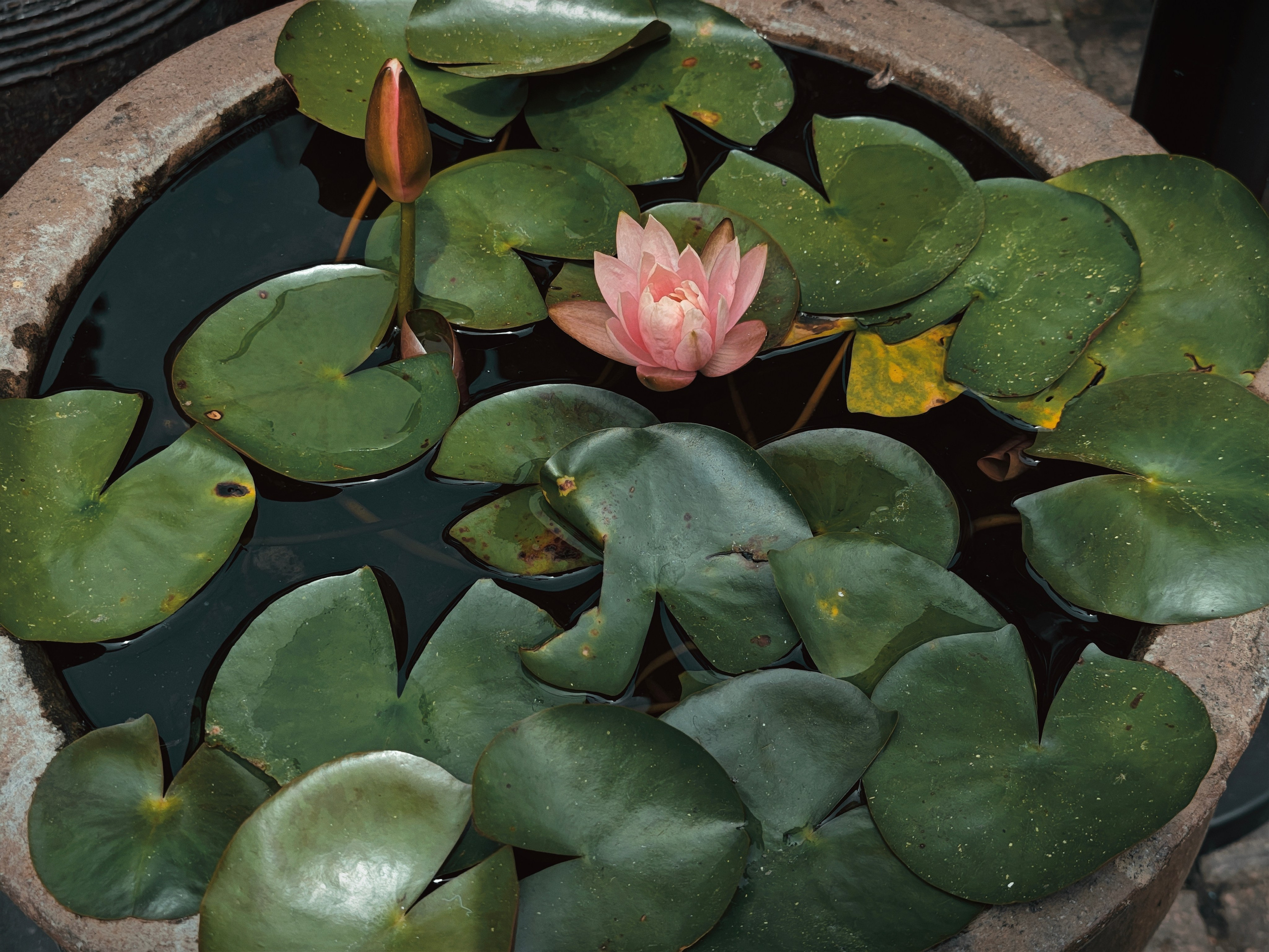 The Great Journey to China. Brjankin.com