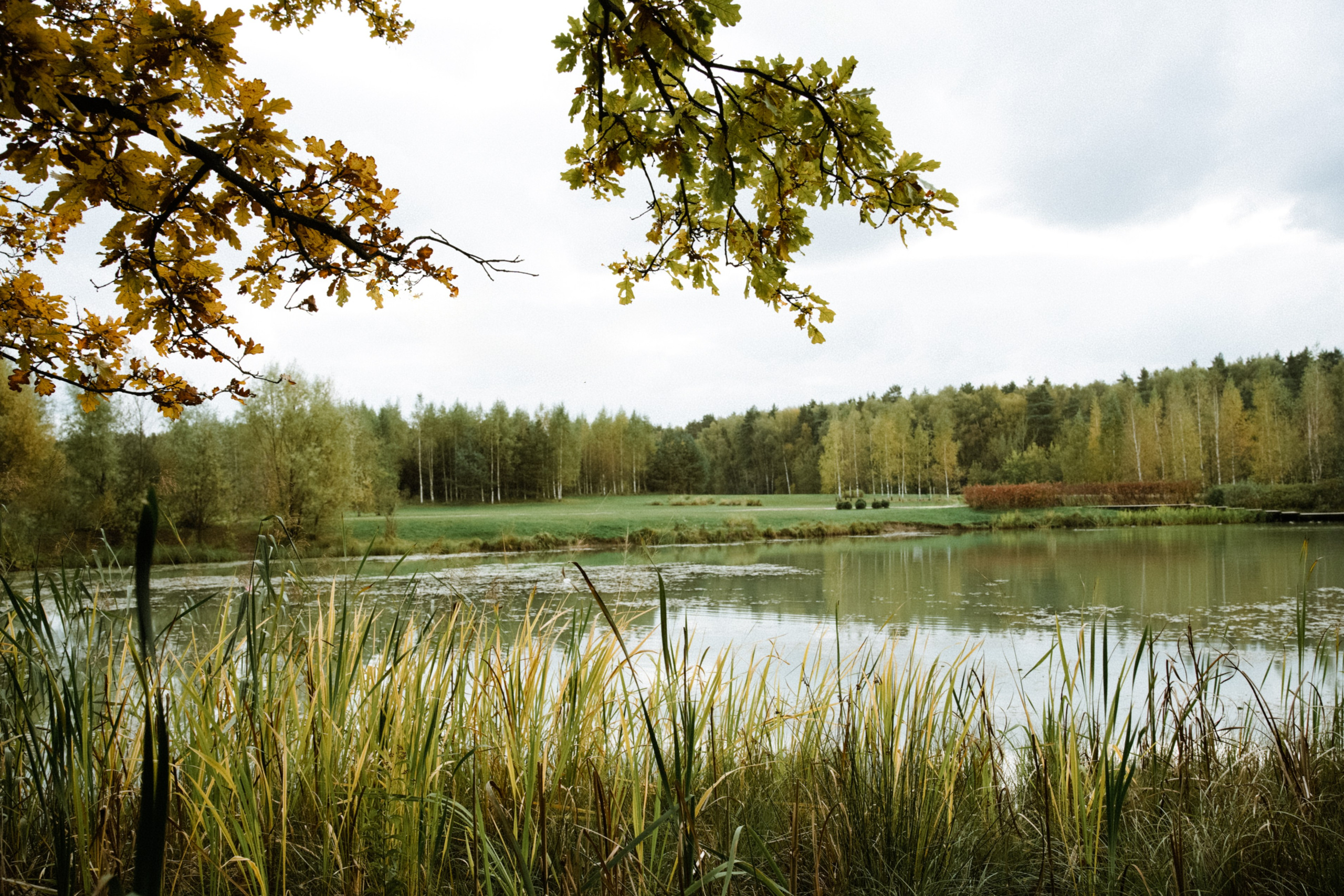 Осень 2025. Фотограф из Москвы — DASHA NOVA | Авторская фотография в разных жанрах