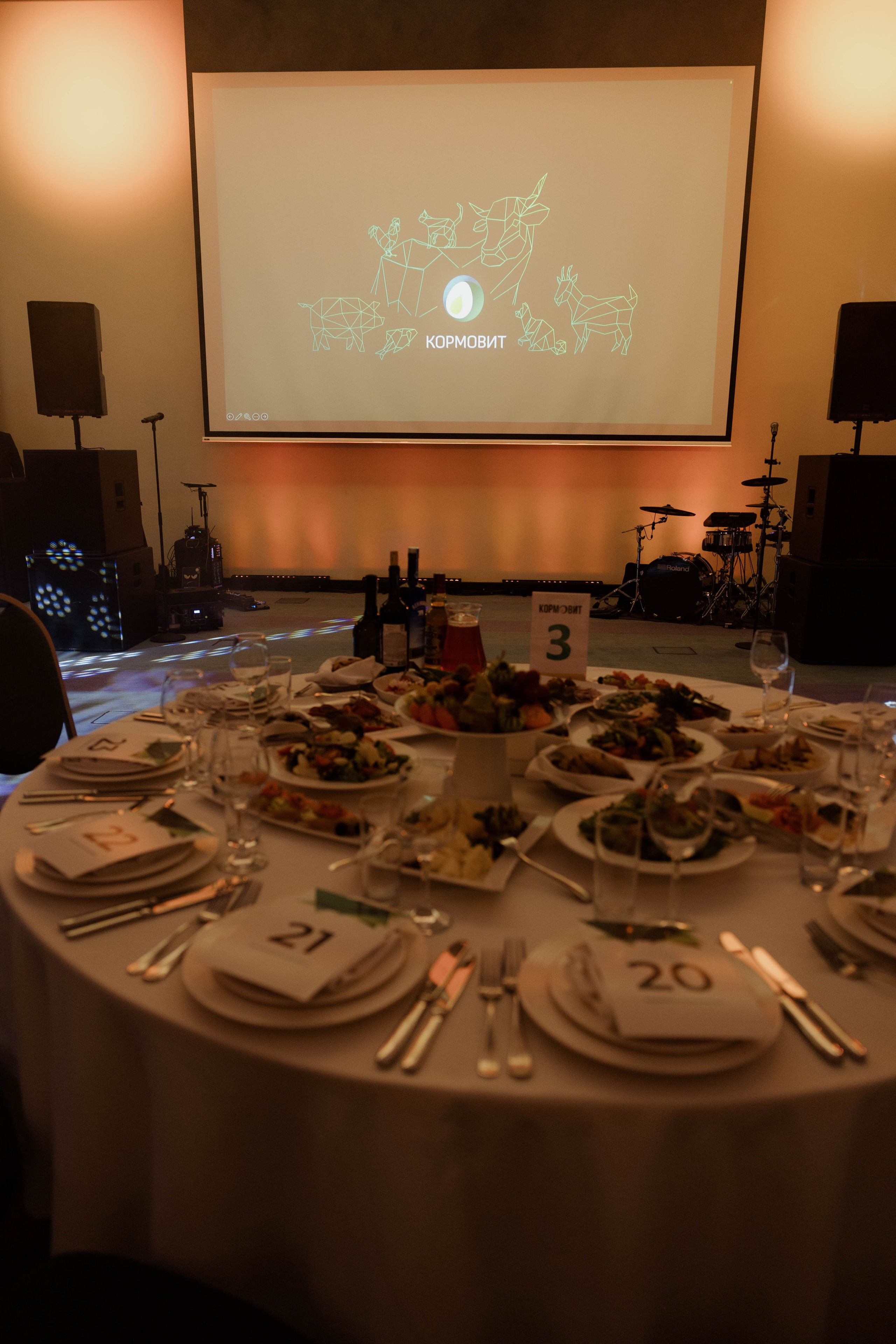 Конференция и ужи. Кормовит. Роза хутор. Фотограф Юсова Мария