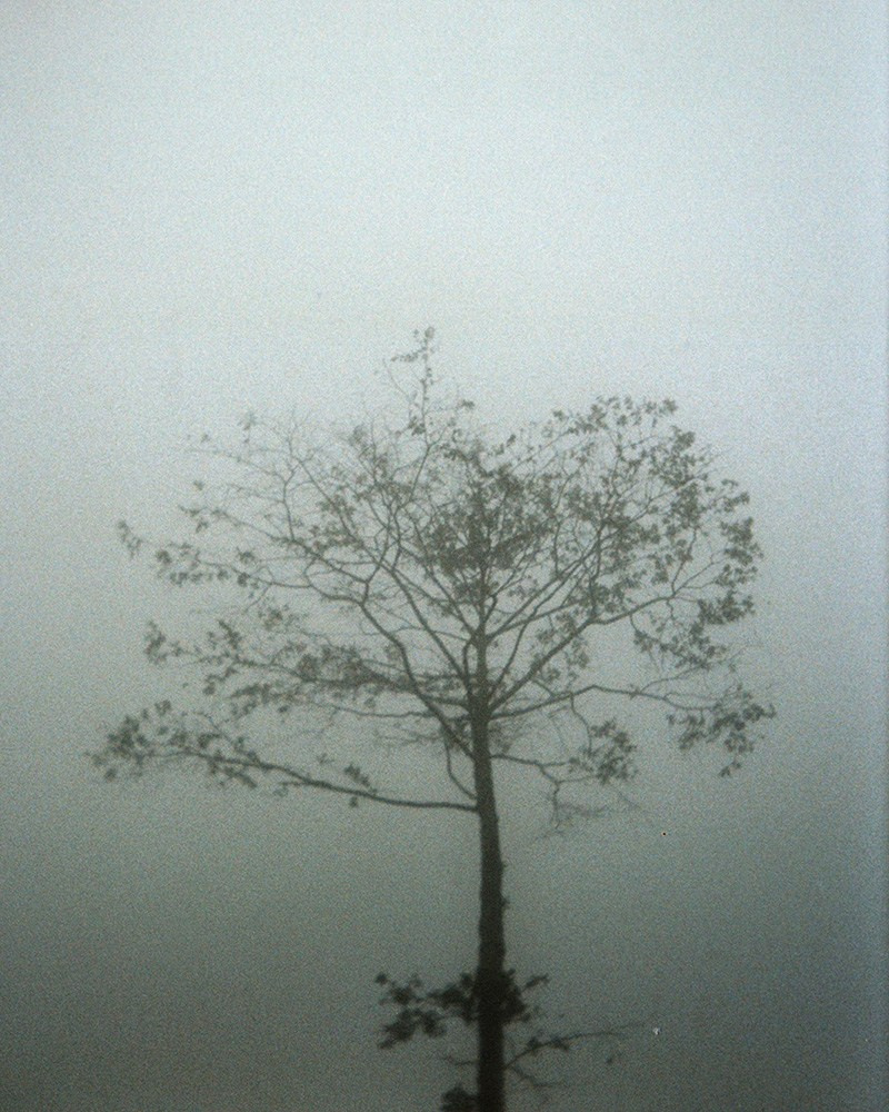 Exclusive Edition. Арт фотограф Виктория Фатина Москва | visual art