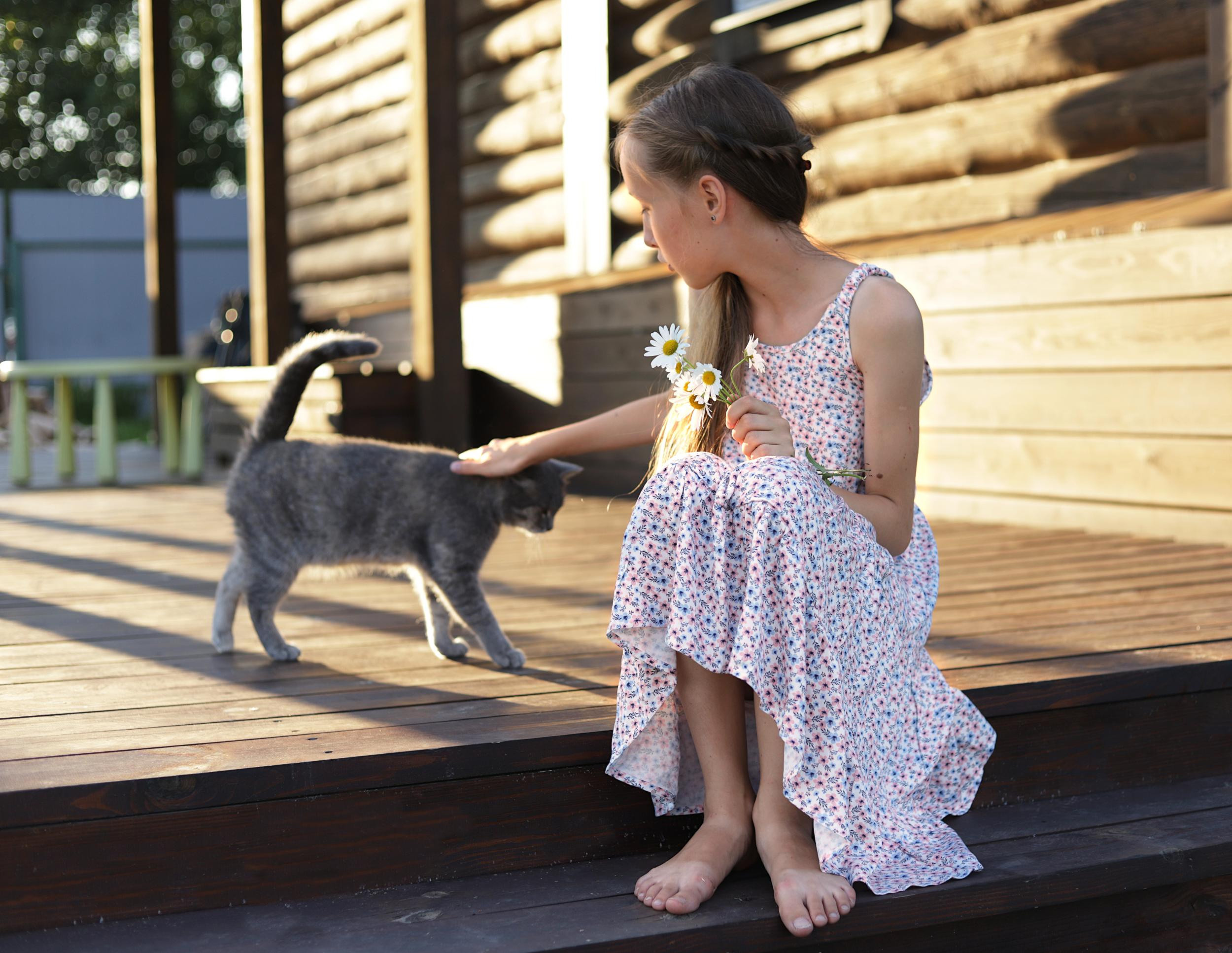 Портфолио. Фотограф Светлана Петухова