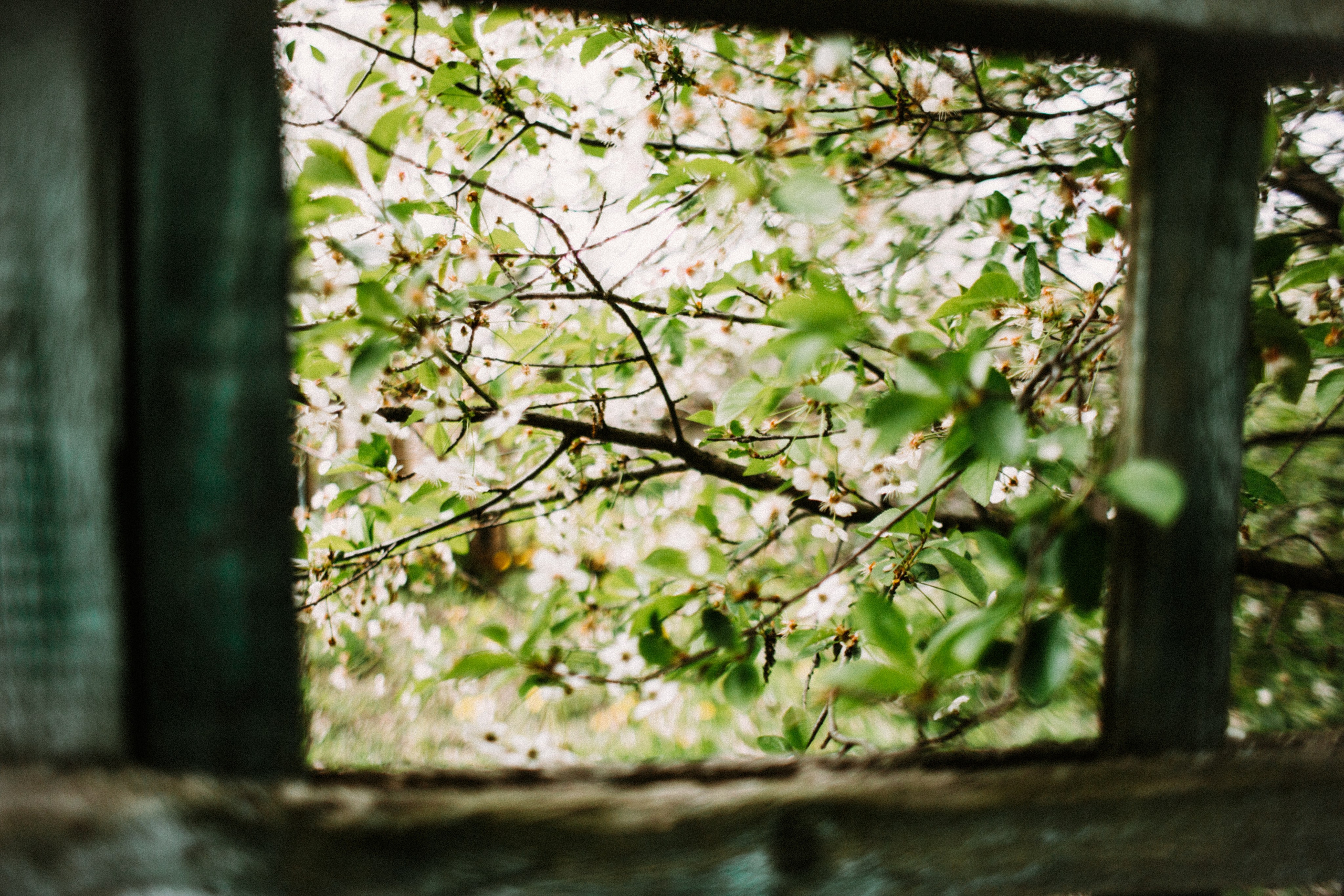 Аня. Майский жёлтый. Фотограф в Нижнем Новгороде