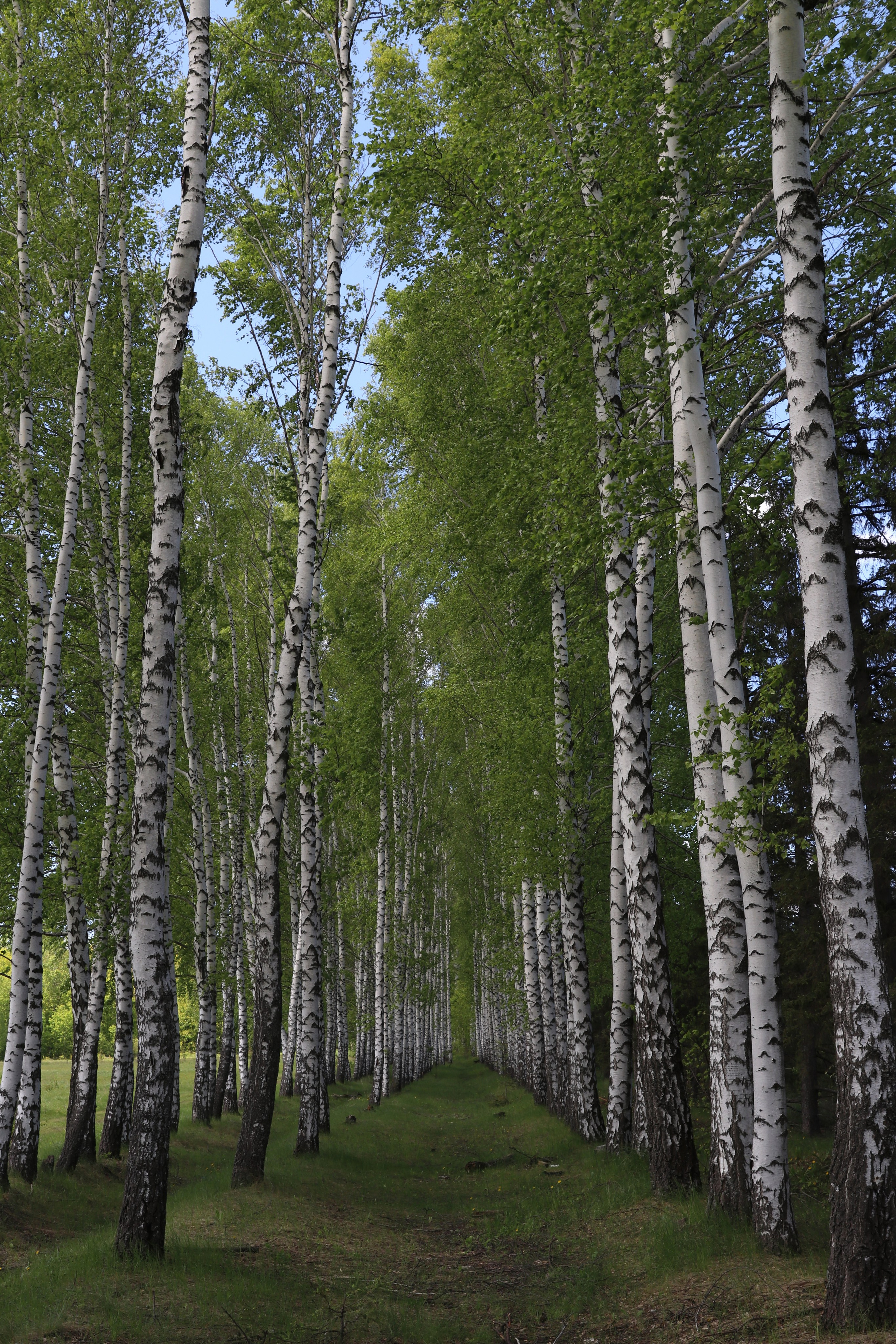 Велопоход Уфа — Мелеуз. Май 2024. Путешественник-фотограф из Санкт-Петербурга Татьяна Свистулина