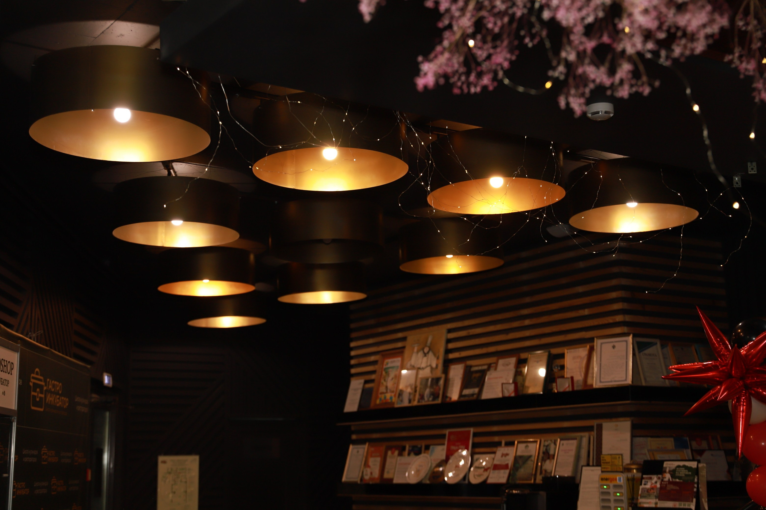 Др Дарины в Гастроинкубаторе. Фотограф Юлия Мальцева