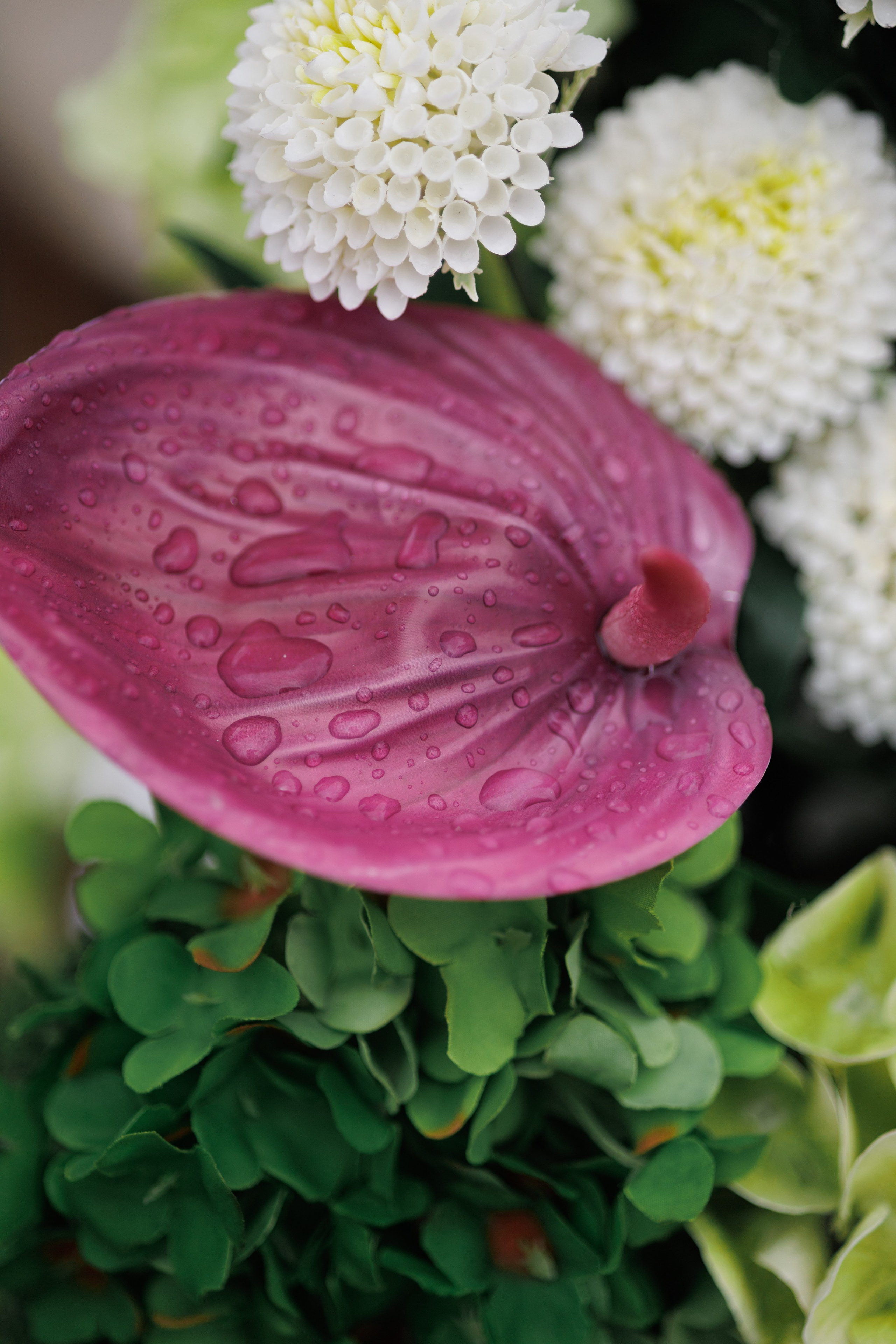 Свадебная фотосессия в Таганроге. Свадебный фотограф Ростов на Дону / Таганрог — Усачева Анастасия