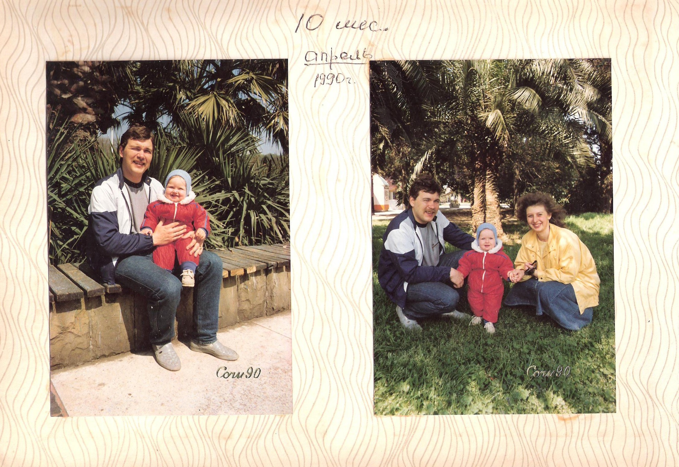 Фотография с пальмой. Курортное дело