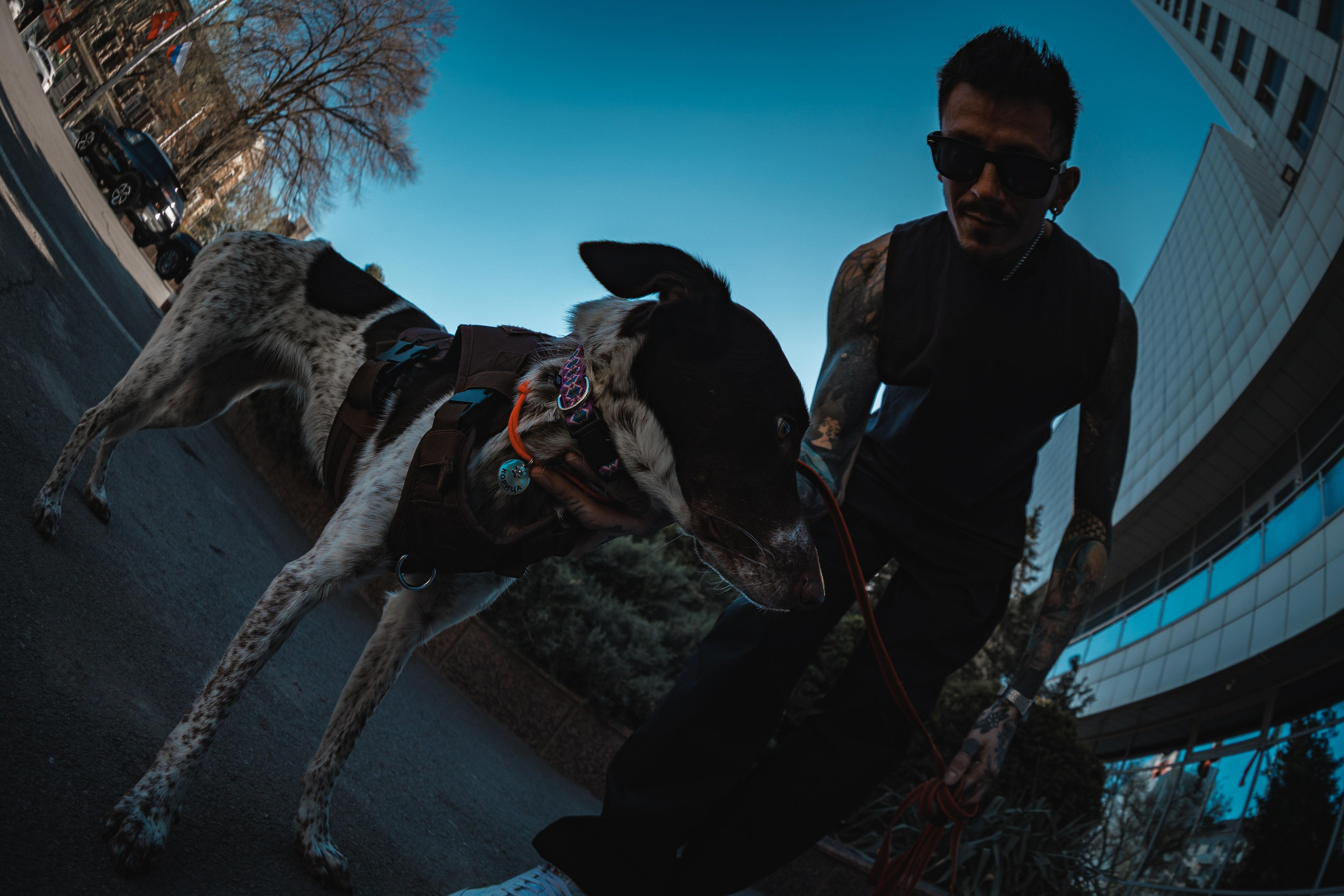 Никита. Фотограф в Ростове-на-Дону Ника Обида