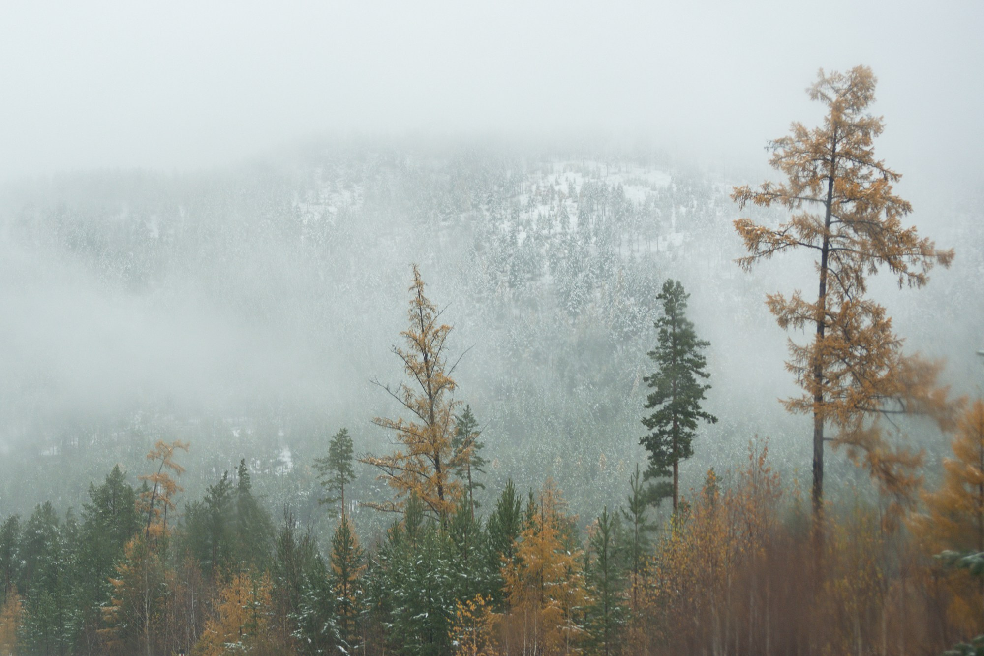 Разное. Репортажный фотограф г. Чита
