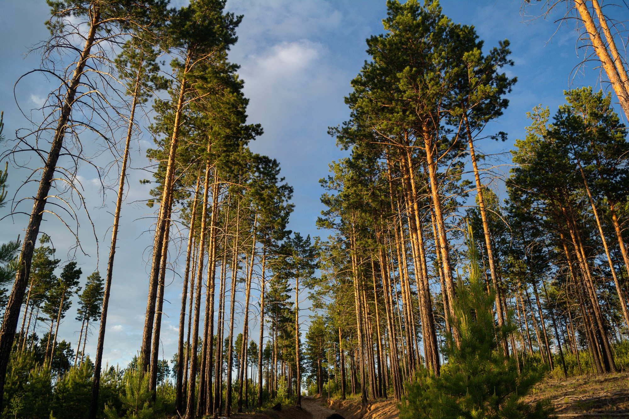 Разное. Репортажный фотограф г. Чита