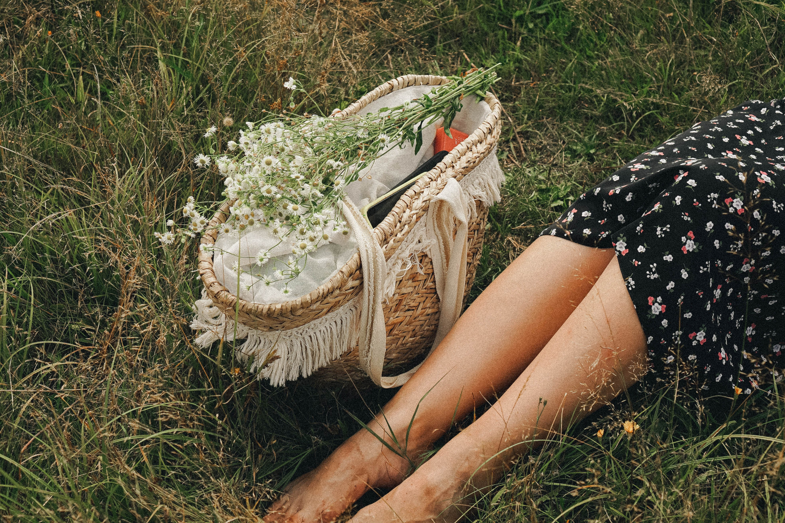 Прогулка на природе. Профессиональный фотограф, Санкт-Петербург — Виктория Богомолова