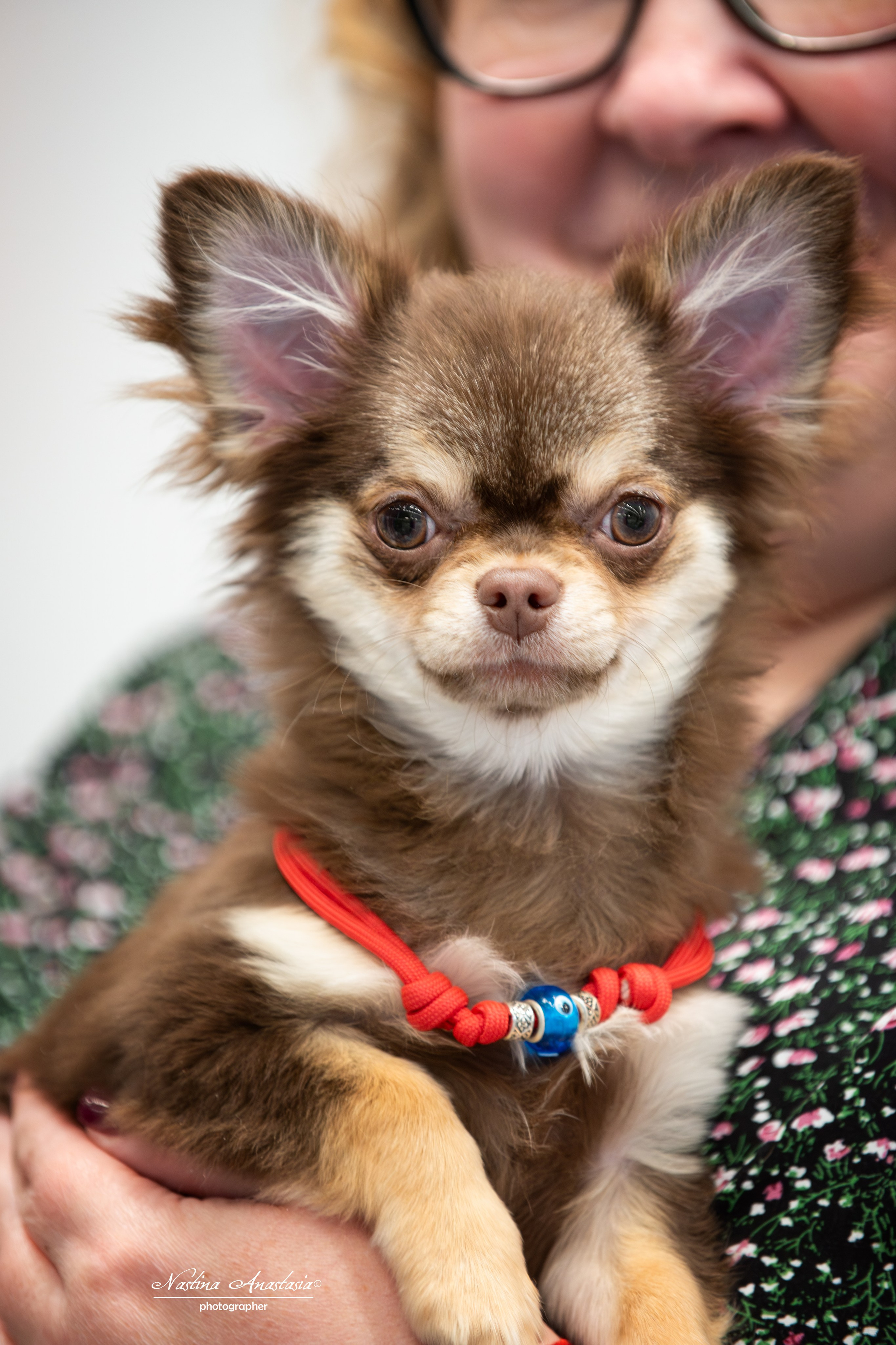 Выставки. Фотограф — Анималист