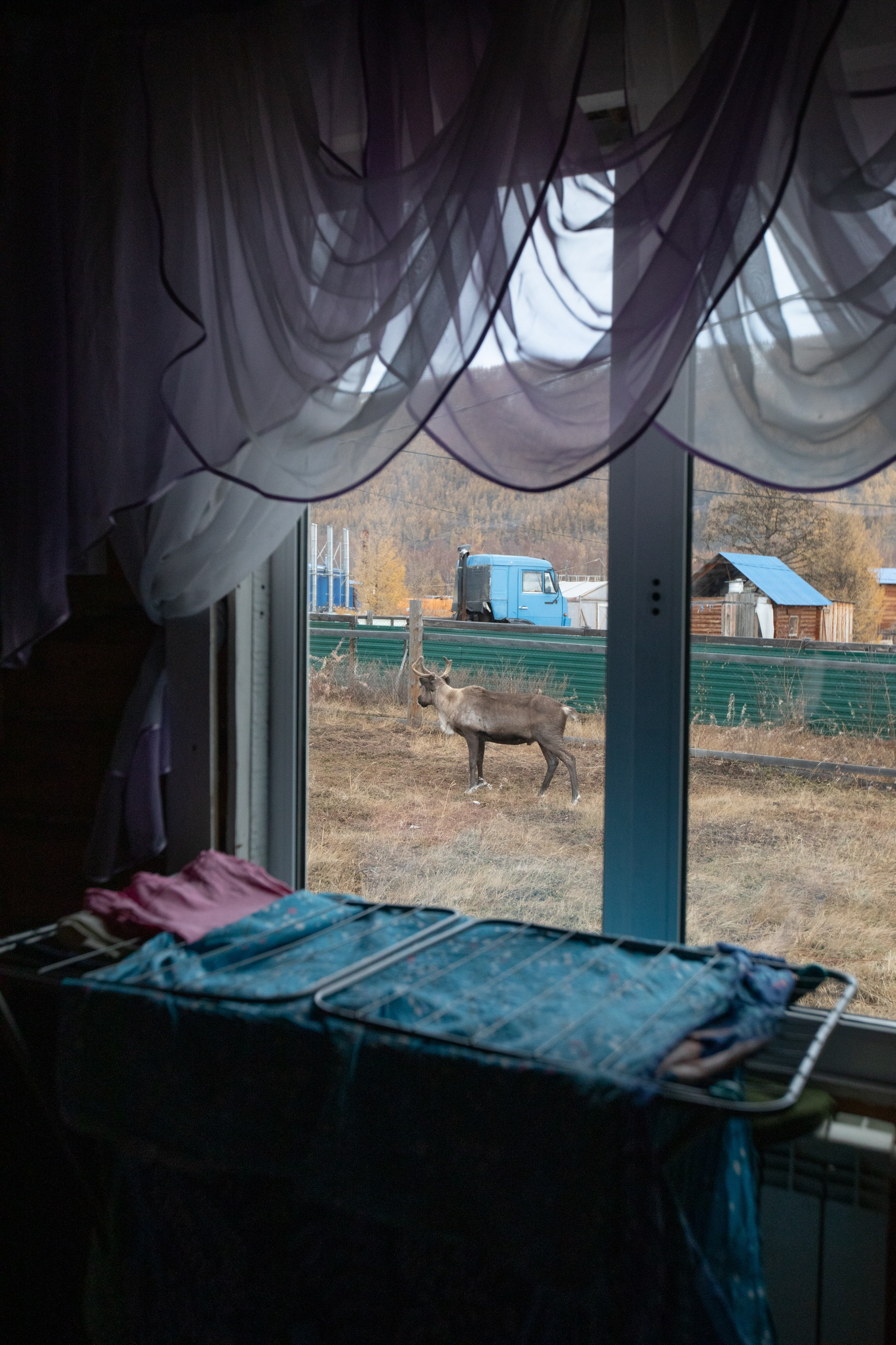 Не забудь накормить озеро. Natalya Madilyan