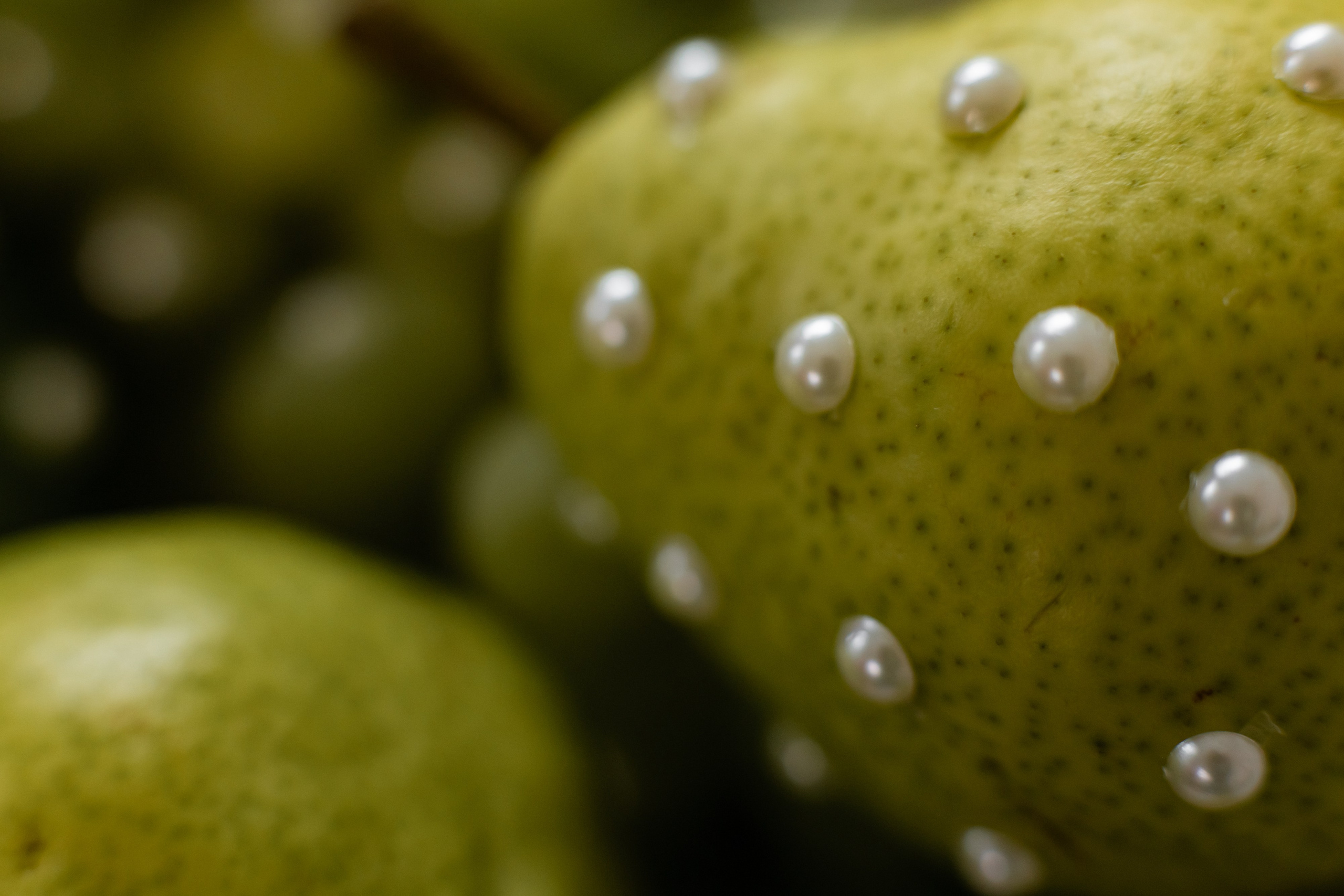 Валерия в студии «VENERA». Фотограф Белгород