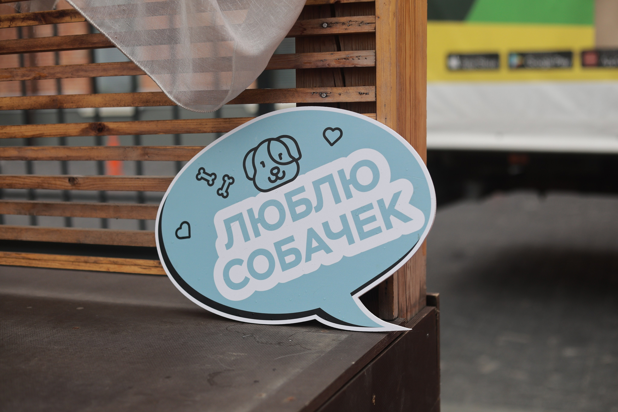 Фестивали. Фотограф в Москве Анастасия Цым