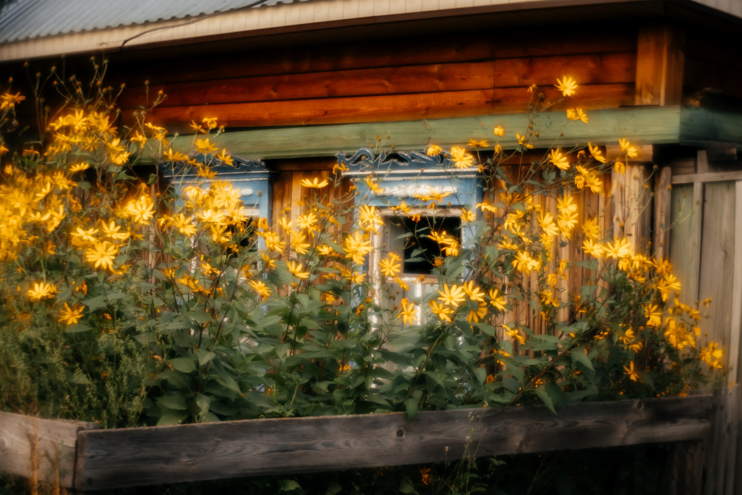 Сны о детстве. Фотограф в Красноярске Оксана Корчагина