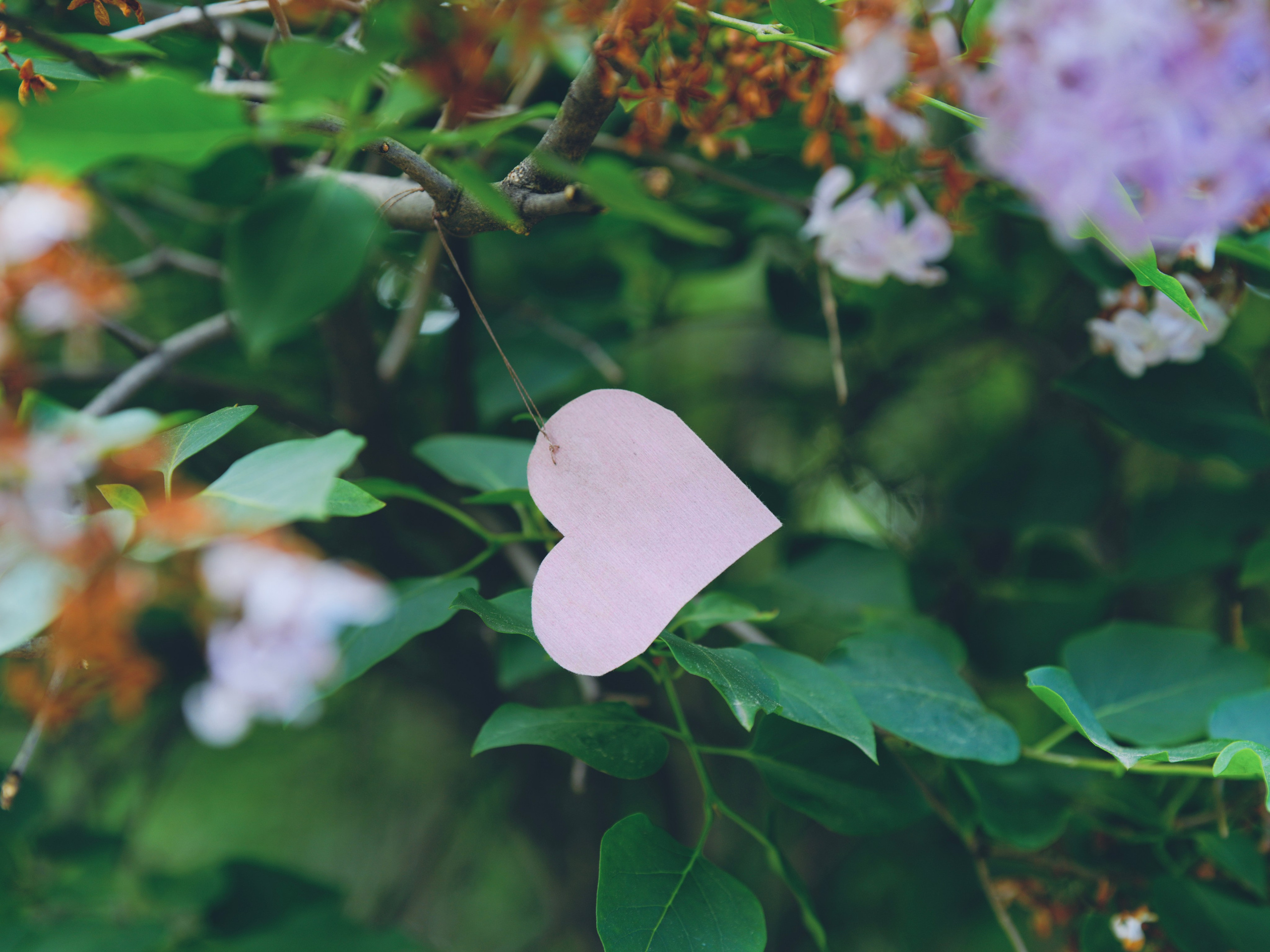 Варвара. Событийный фотограф в Москве Юлия Папиянц