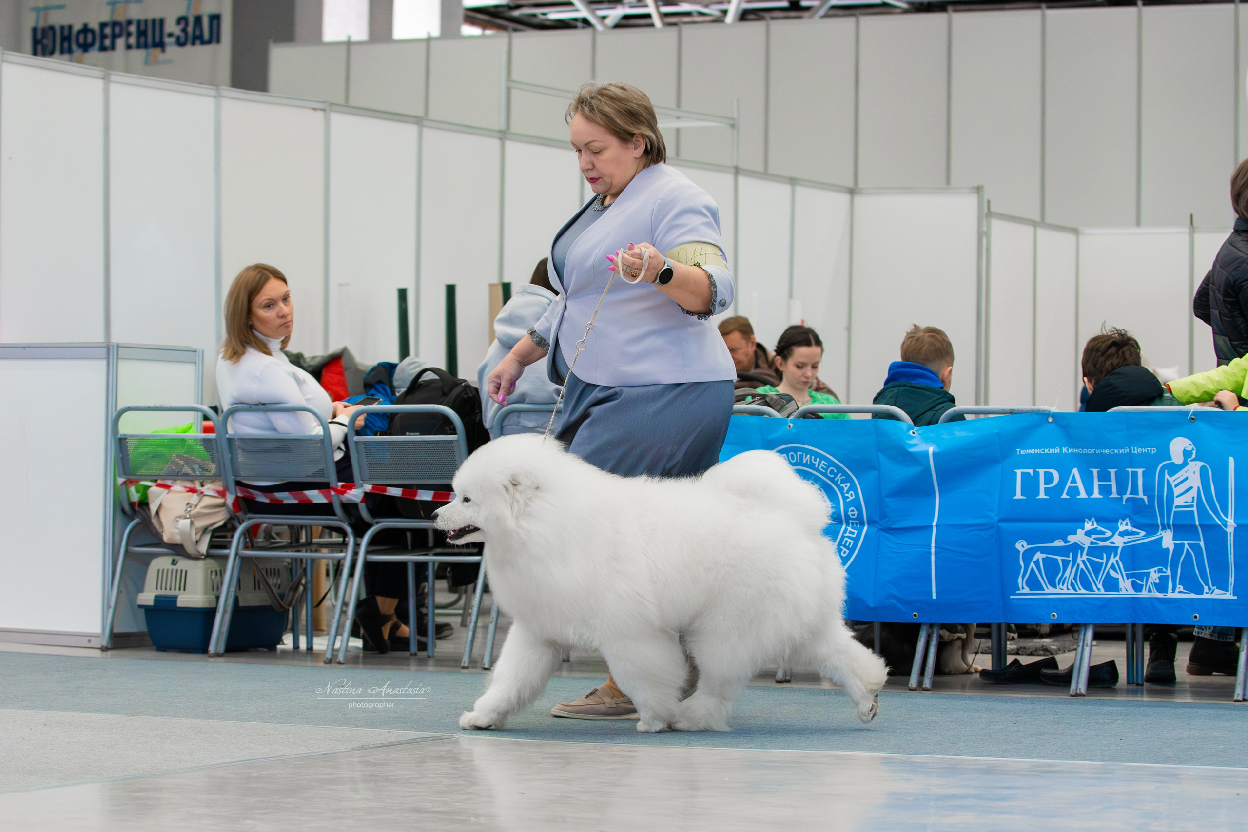 Выставки. Фотограф — Анималист