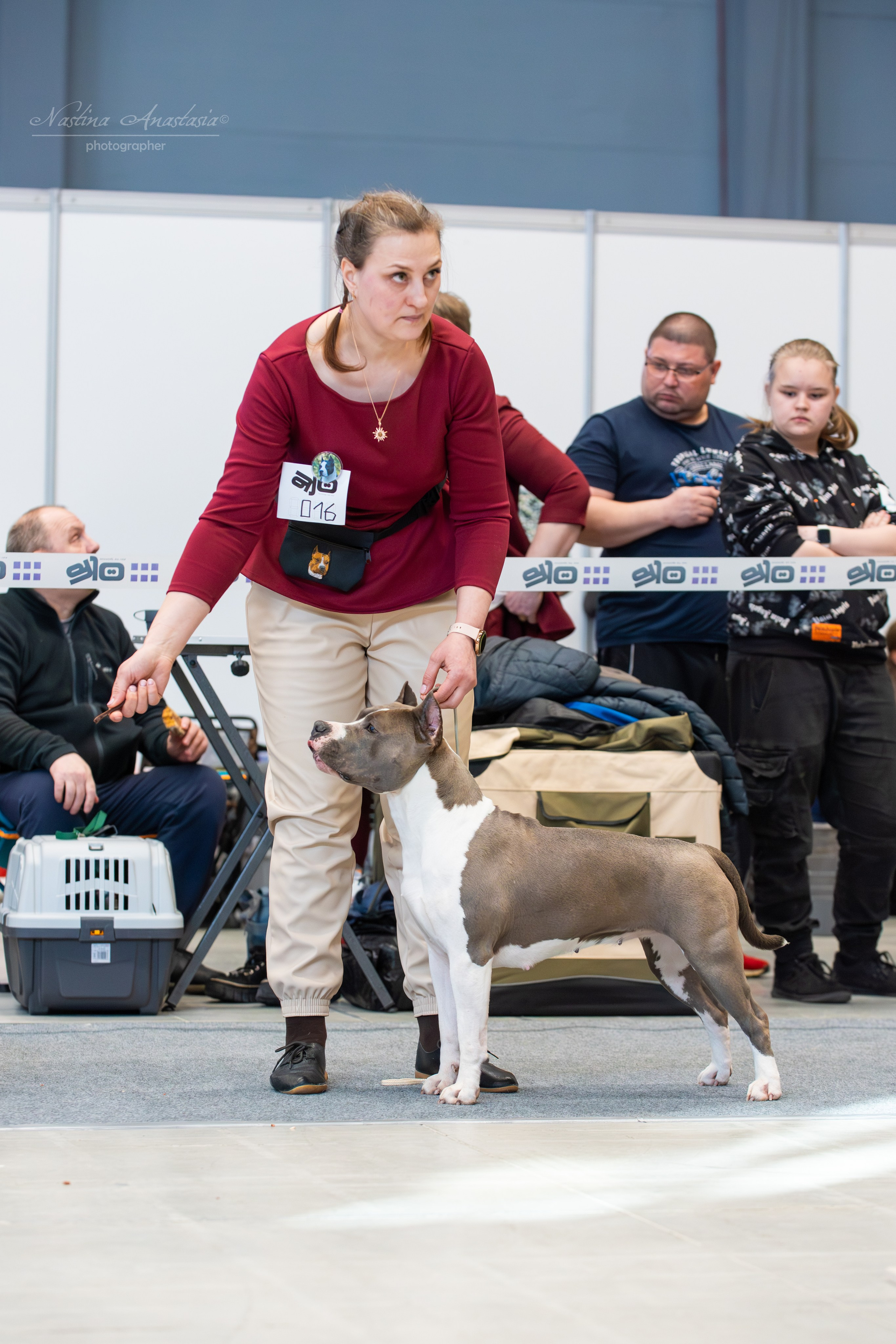 Выставки. Фотограф — Анималист
