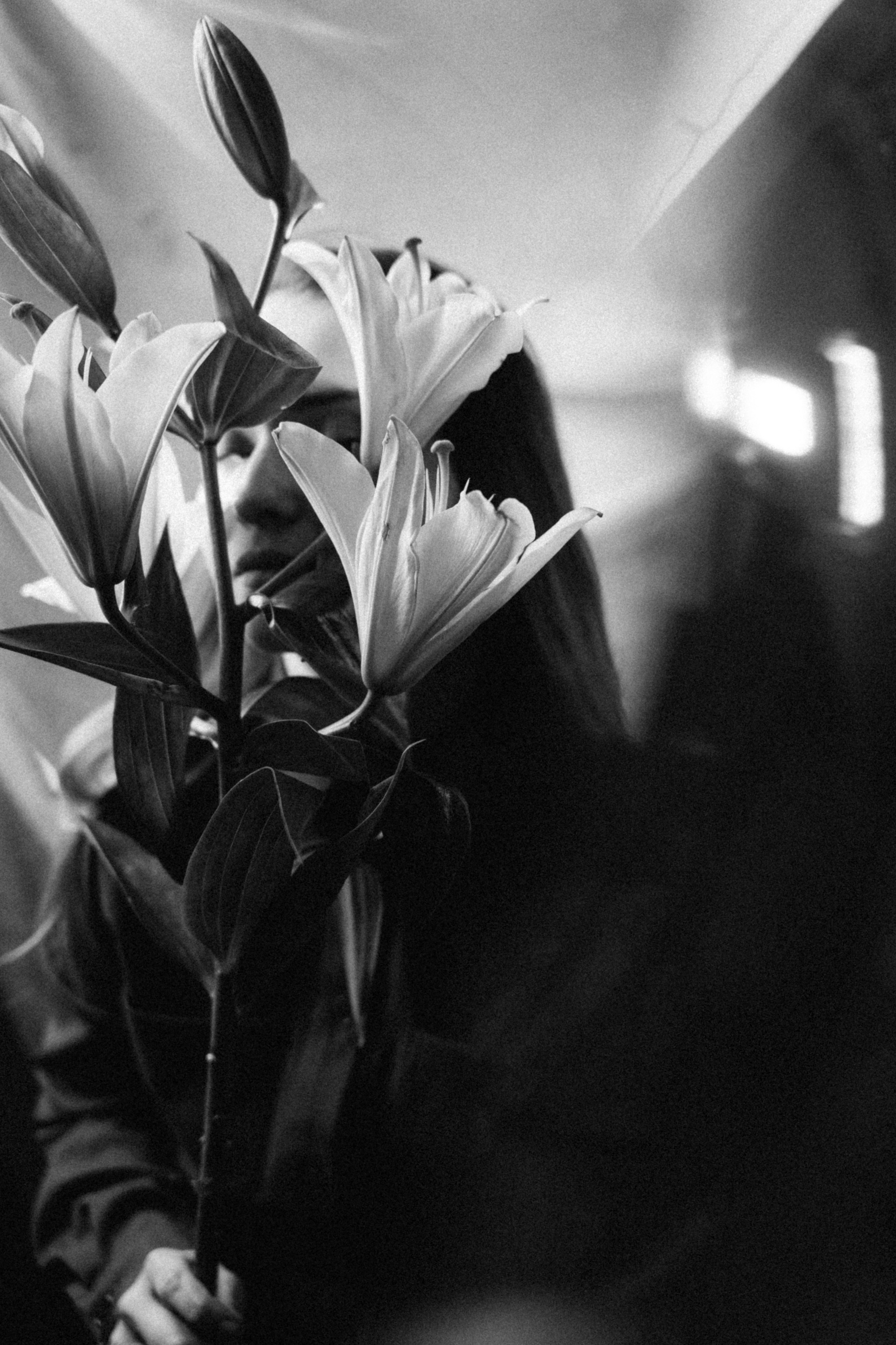 Лилии. Фотограф Москва