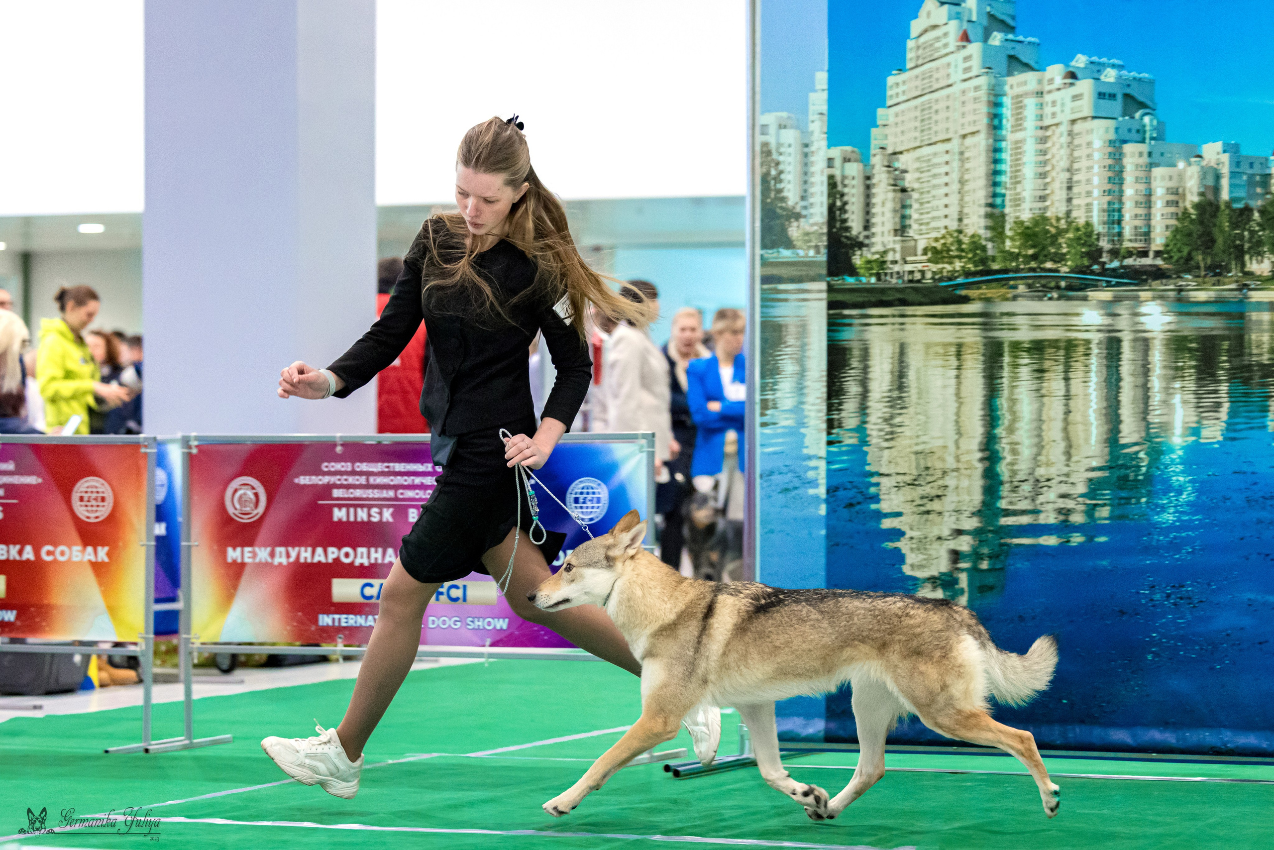 Минск 25-26.11.2023. Фотограф-анималист Юлия Германика