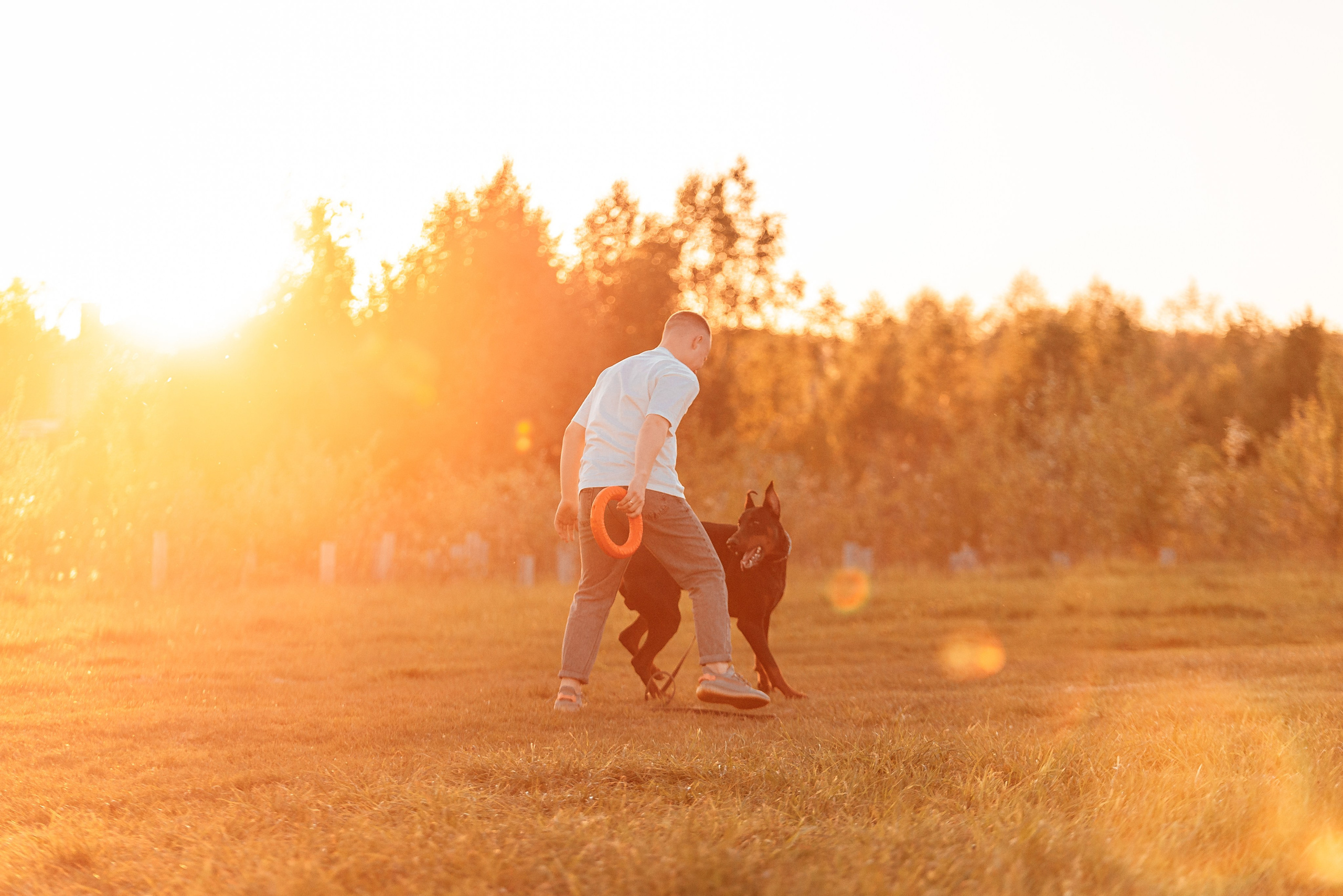 Юля, Андрей и Арес. Фотограф-анималист Анастасия Парфенова|Екатеринбург