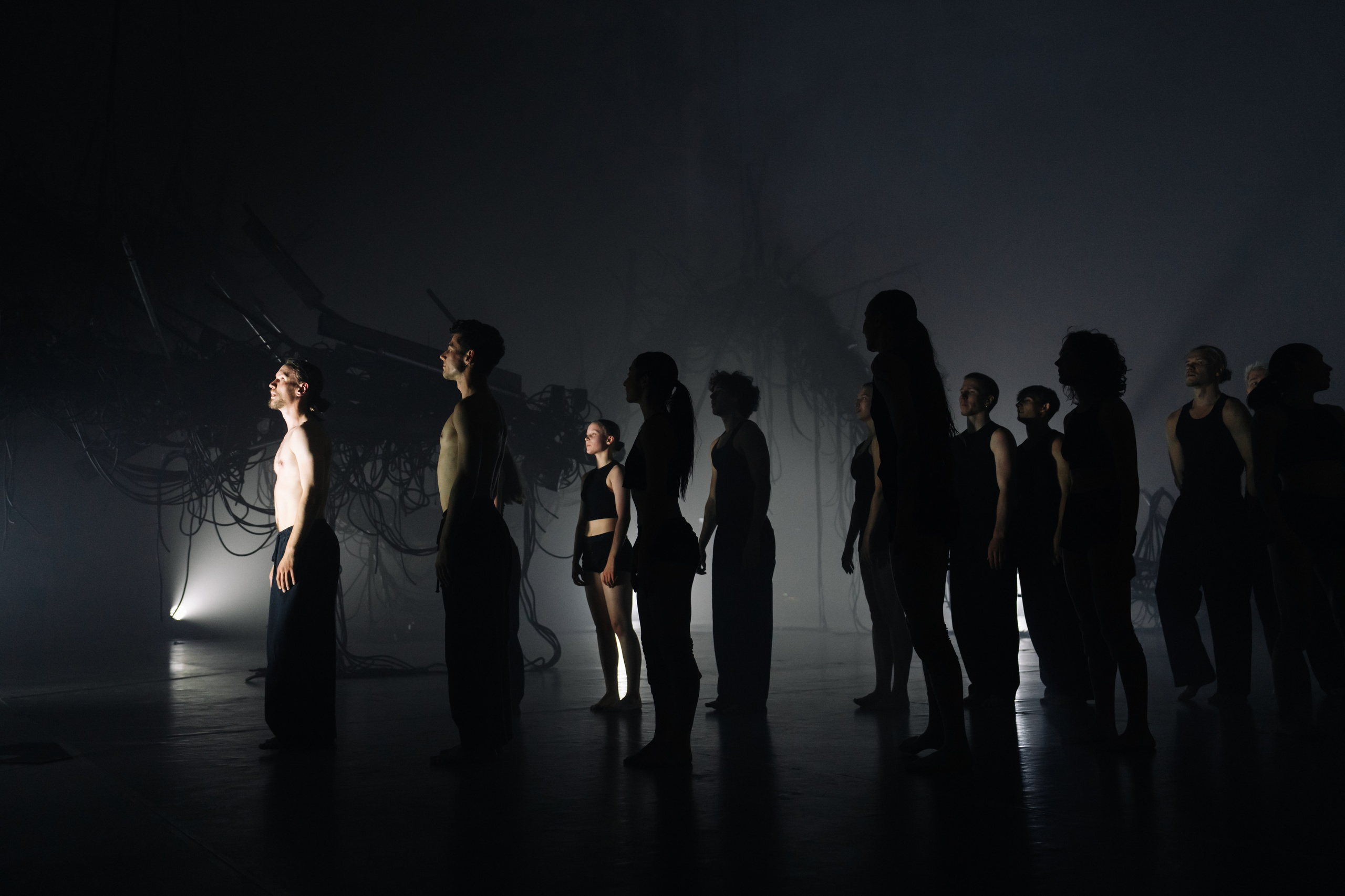 PERFORMA, The Hour of the Horse. @tomrus: Рустам Шагиморданов — фотограф