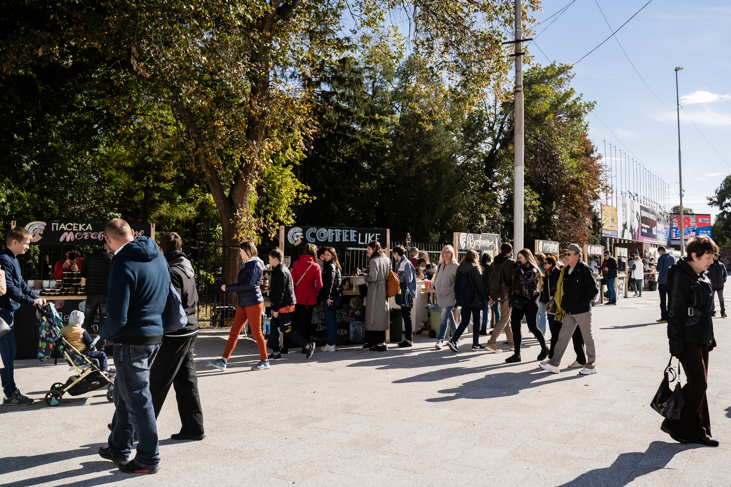 День города 431. Пазл —организация фестивалей, ярмарок, выставок в Саратове