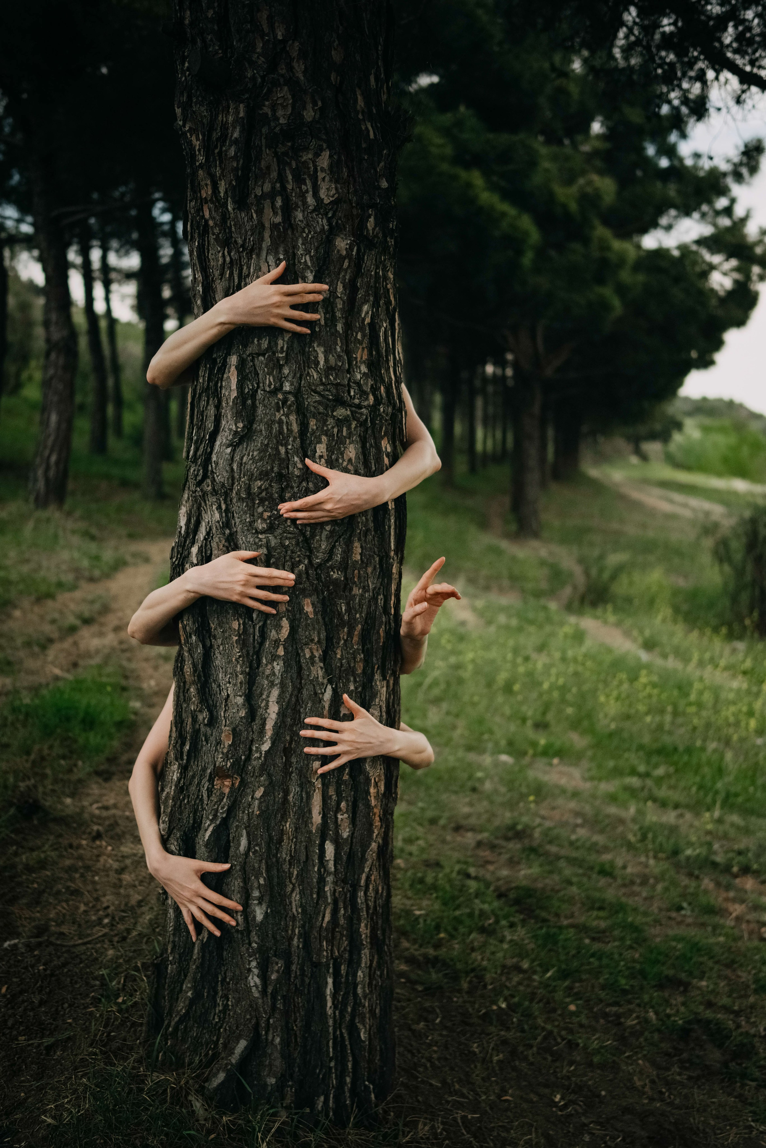 Портретная фотосессия на природе. Портретный и свадебный фотограф в Тбилиси • xeniqo