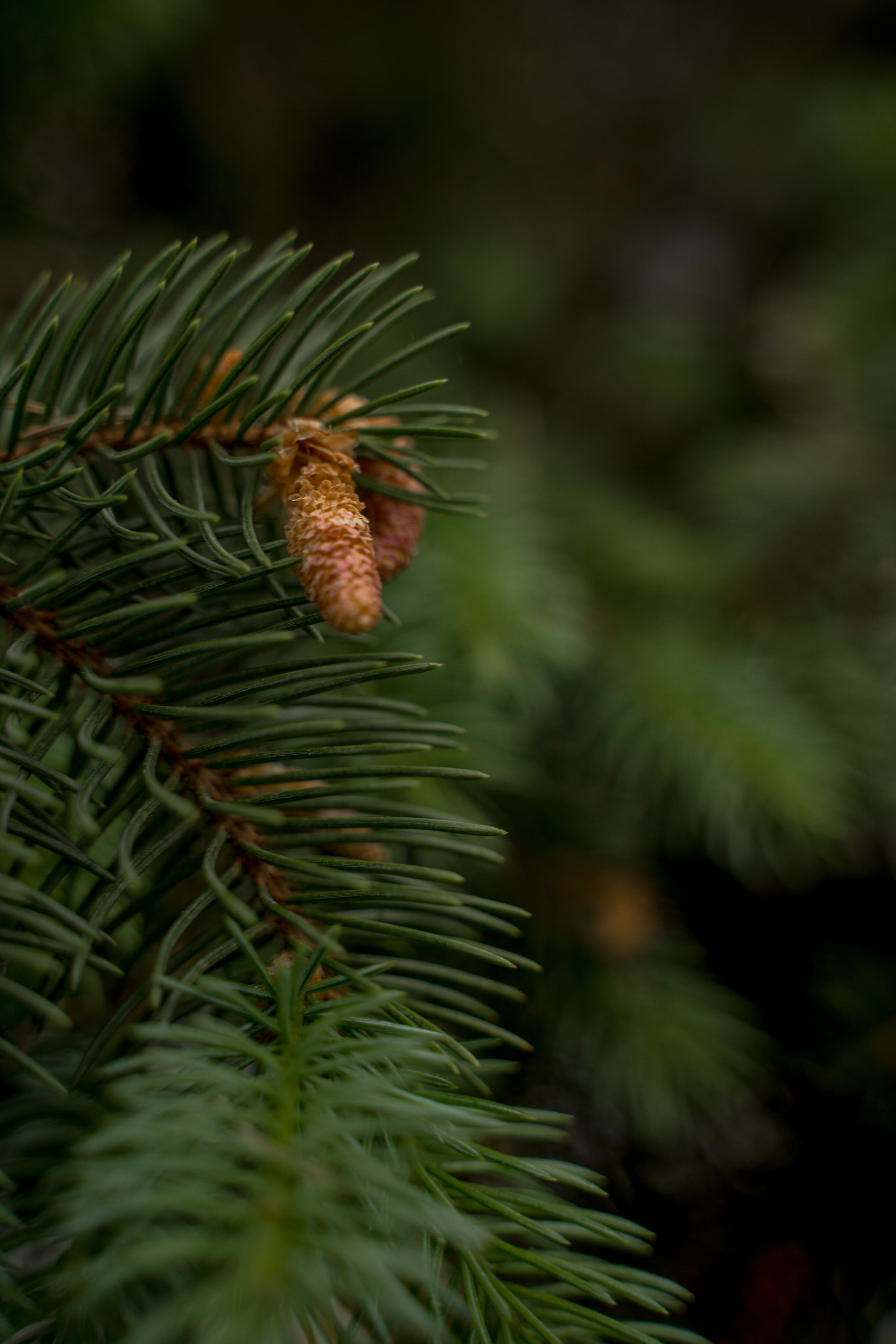 Фотомедитация с Марией Гулыниной. Контент-фотограф в Нижнем Новгороде Антошина Ольга