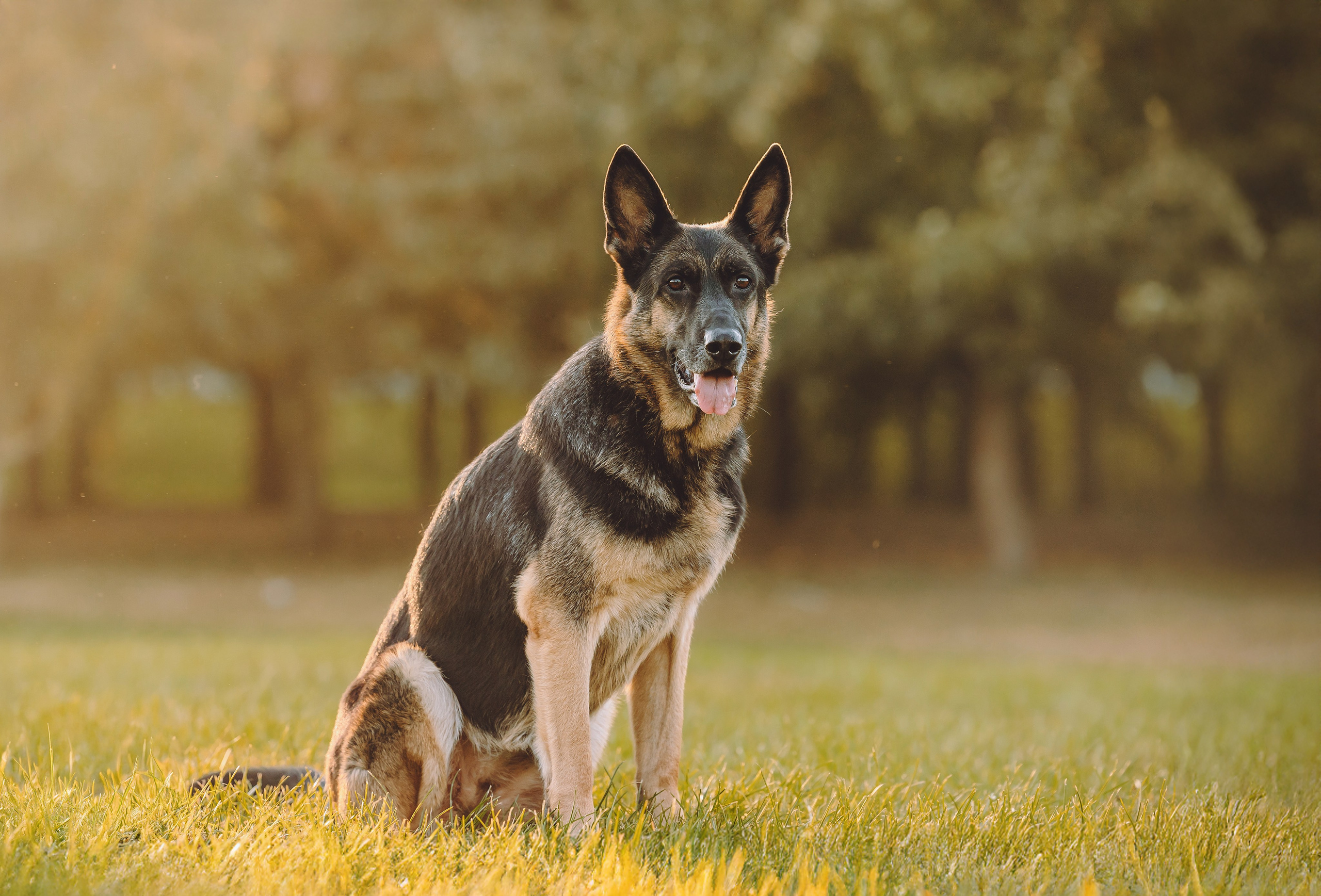 Кристина и все-все