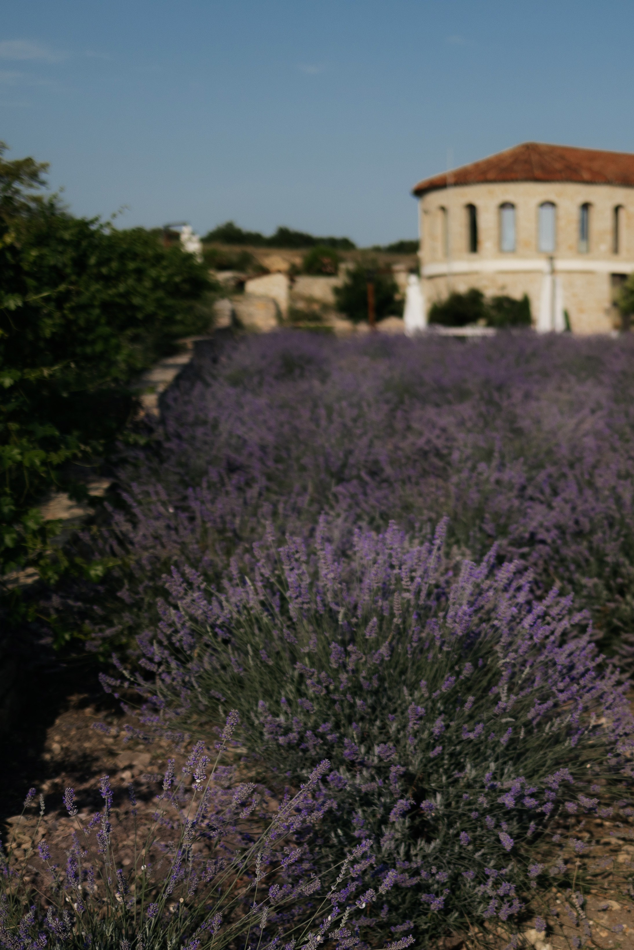 Атмосферная свадьба в Шато Андре. Архитектурный и интерьерный фотограф в Краснодаре | Дмитрий Демской