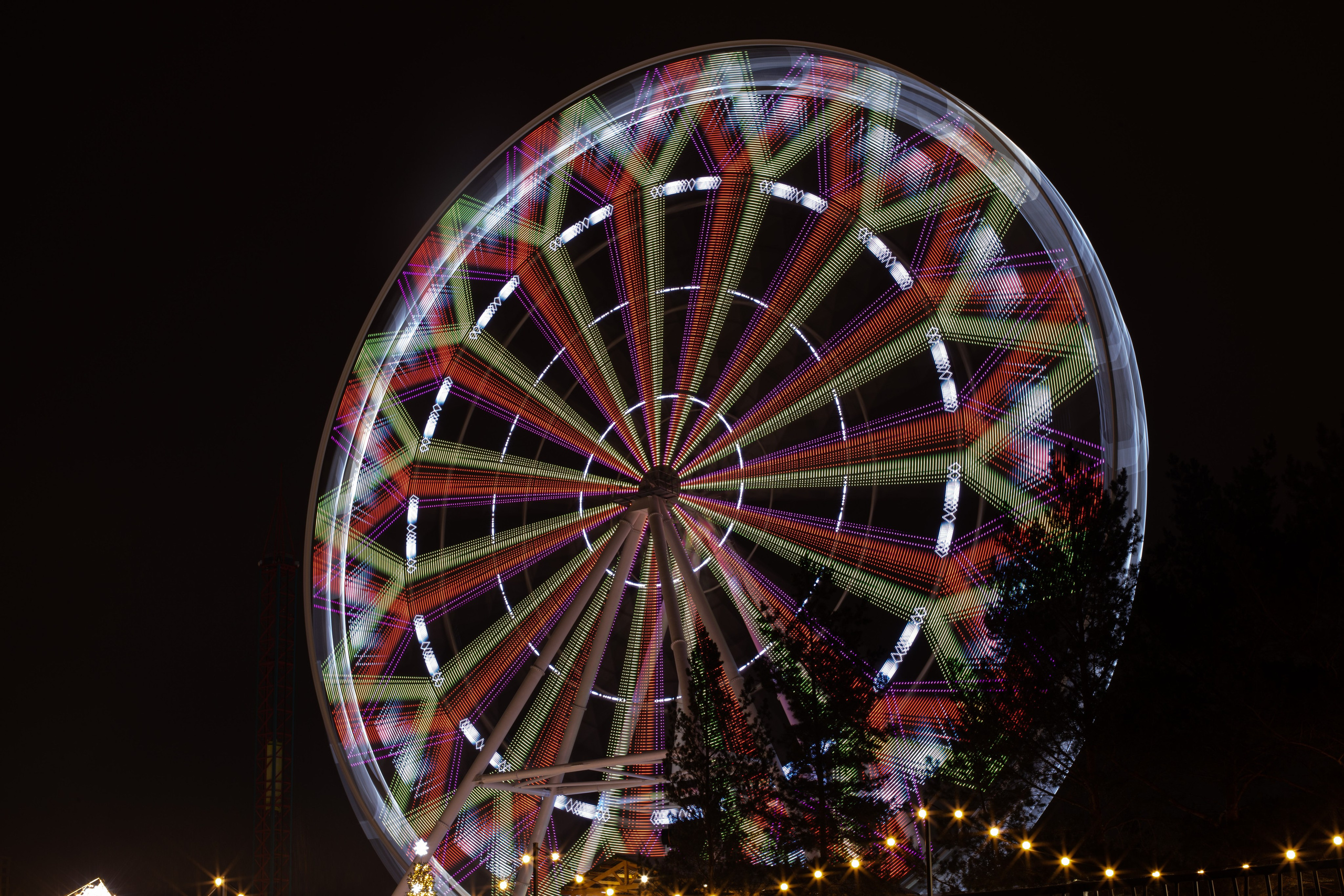 Репортаж. Елизавета Медведева