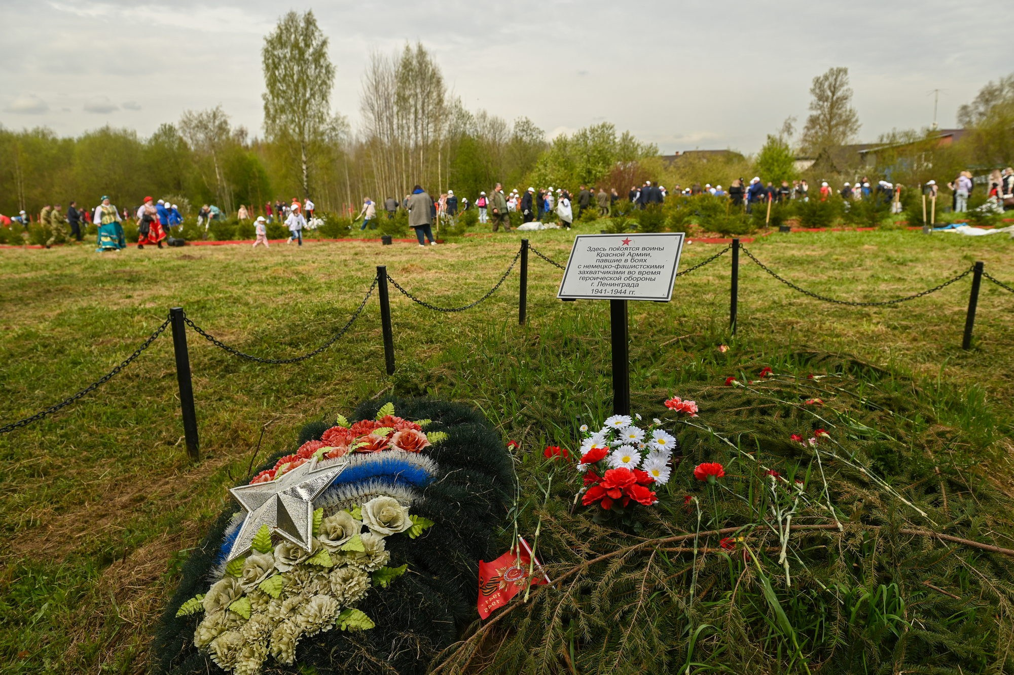 Высадка леса. Документальный фотограф Сергей Вдовин