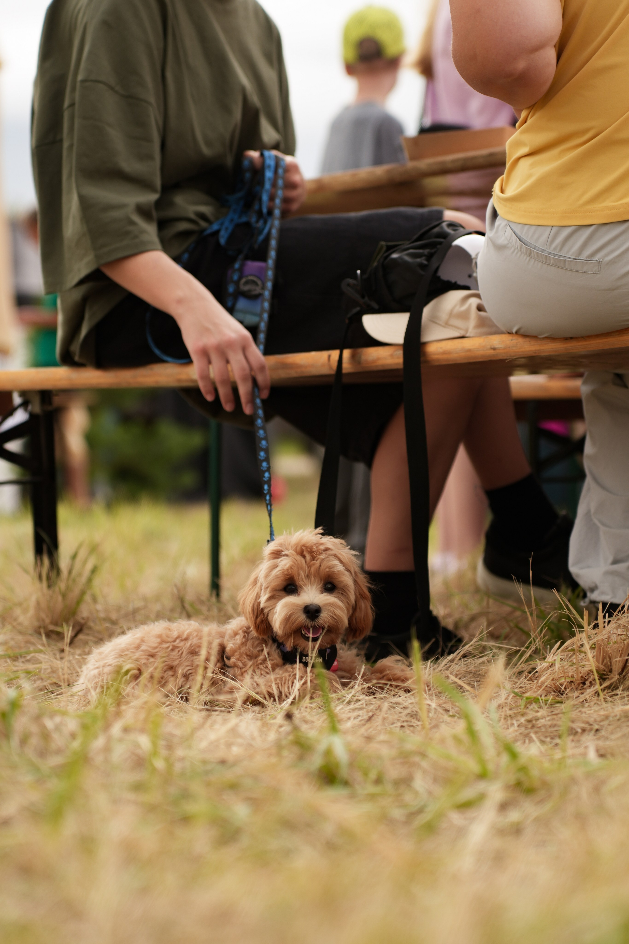 Фестиваль шаров Переславль. Свадебный и семейный видеограф в Москве Гера Филатов
