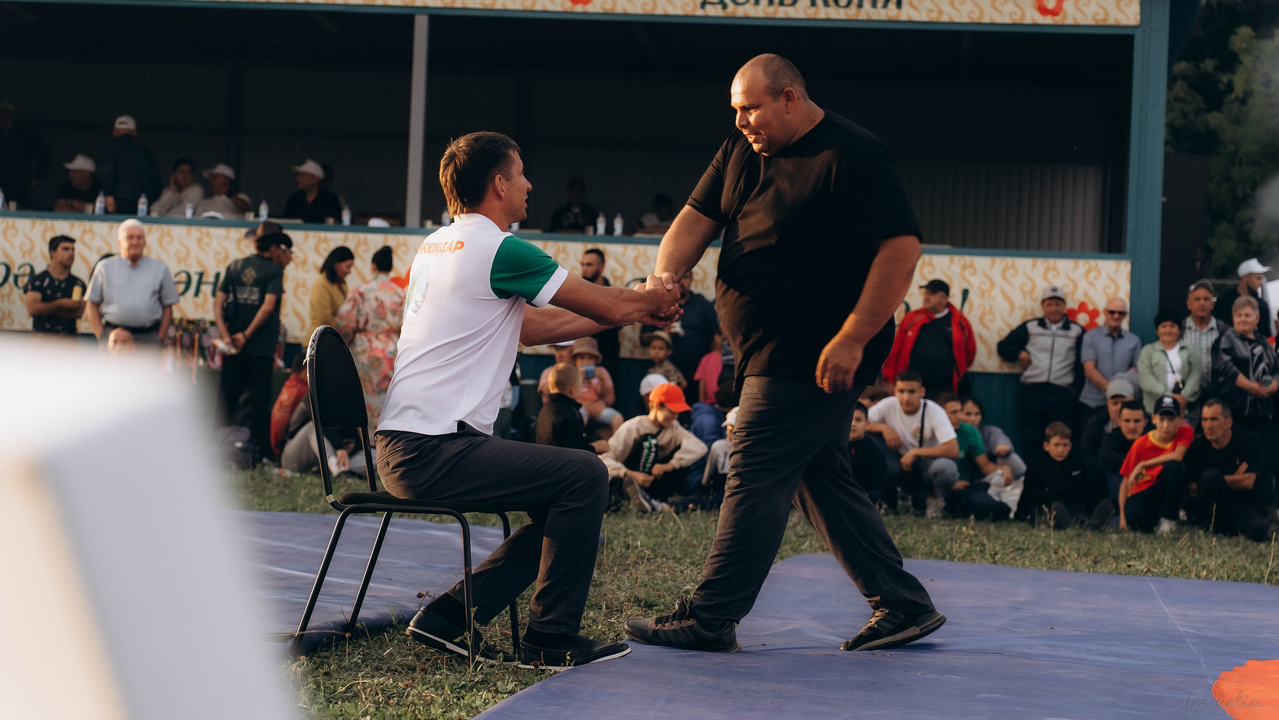 День Коня. Алиса Никитцова | Фотограф в Казани