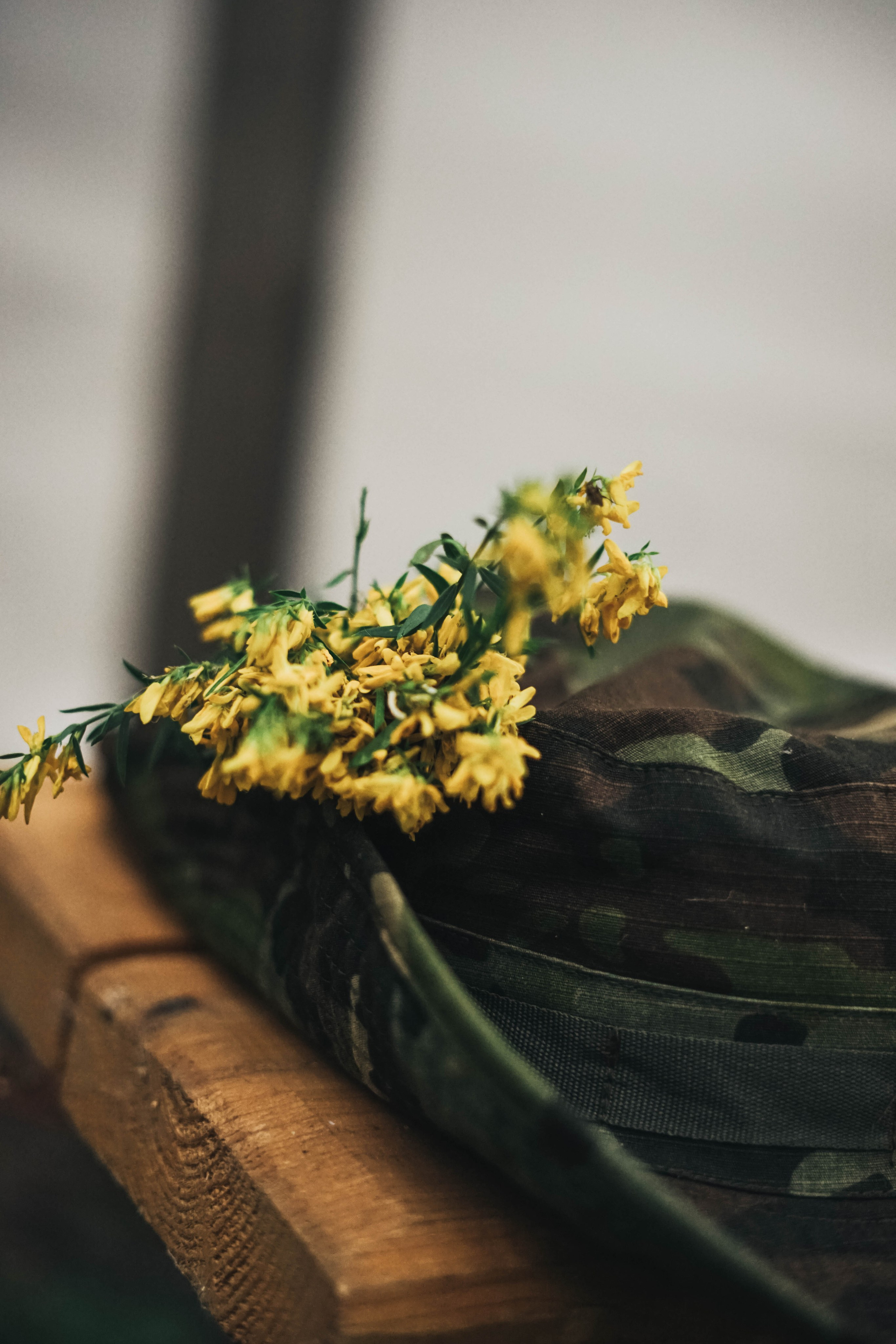 Школа актива «На полном серьёзе». Алиса Никитцова | Фотограф в Казани