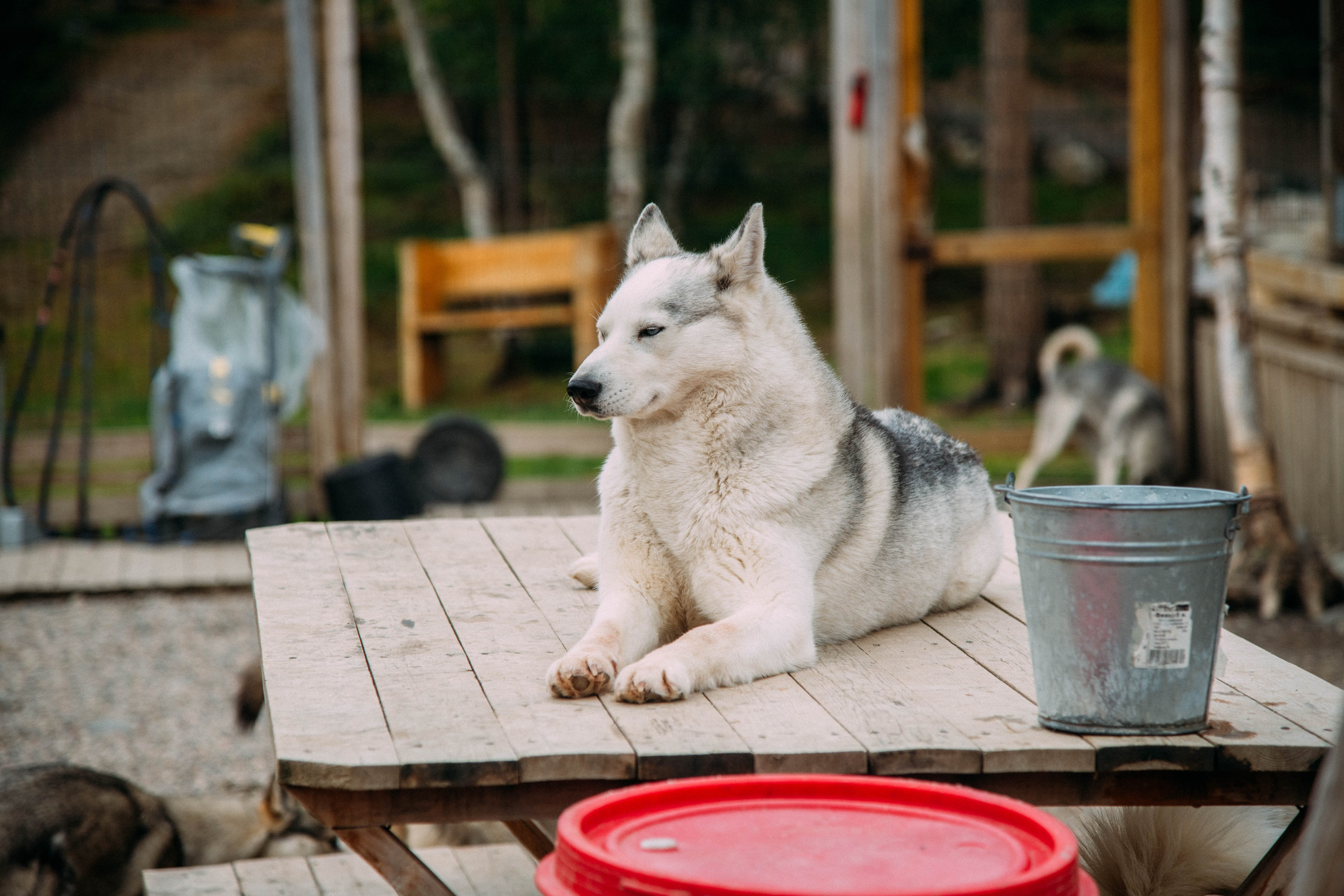 Кольский полуостров. Фотографирую для себя, своей семьи и друзей!