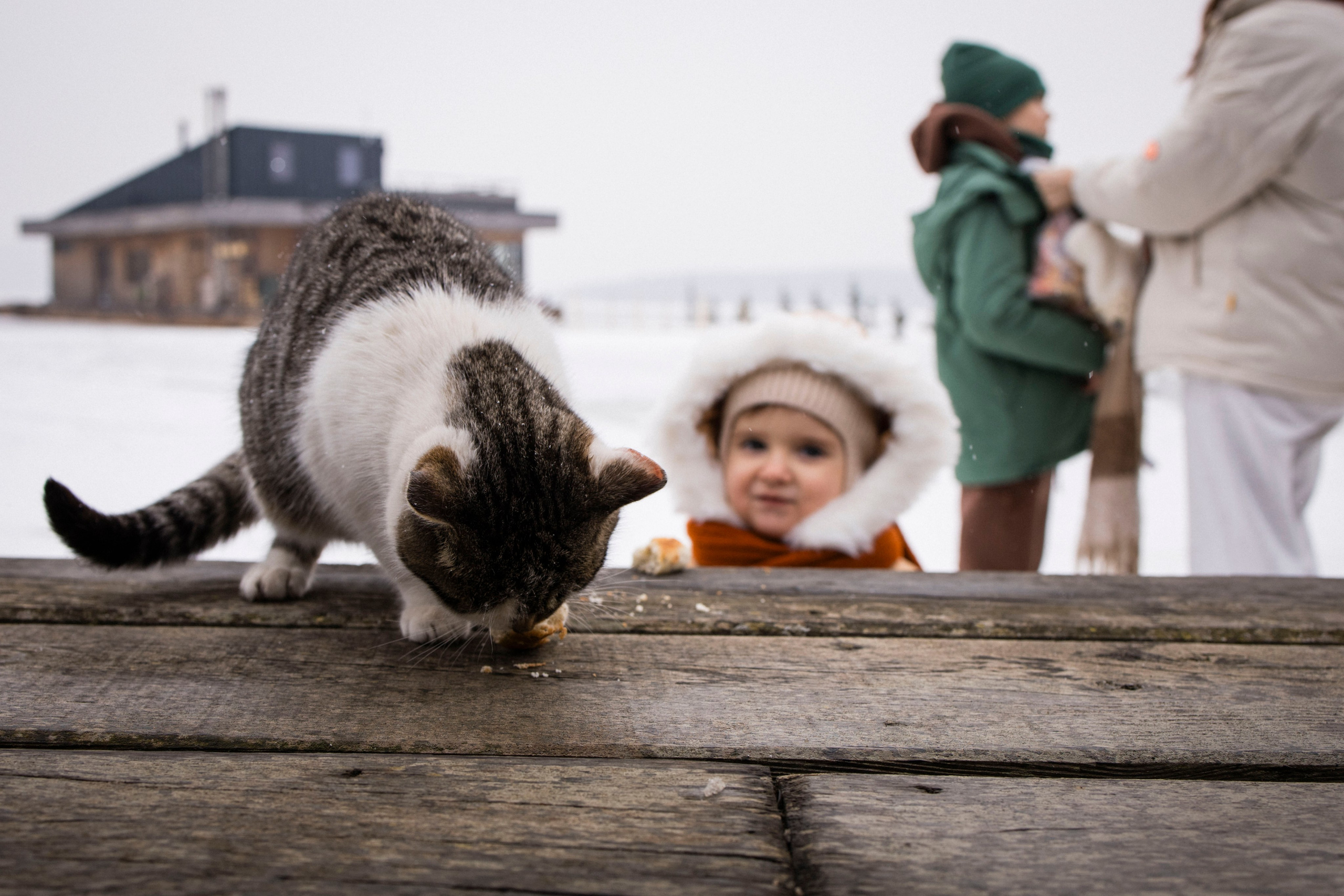 Алёна, Аврора и Артём. Фотограф Виктория Куприянова