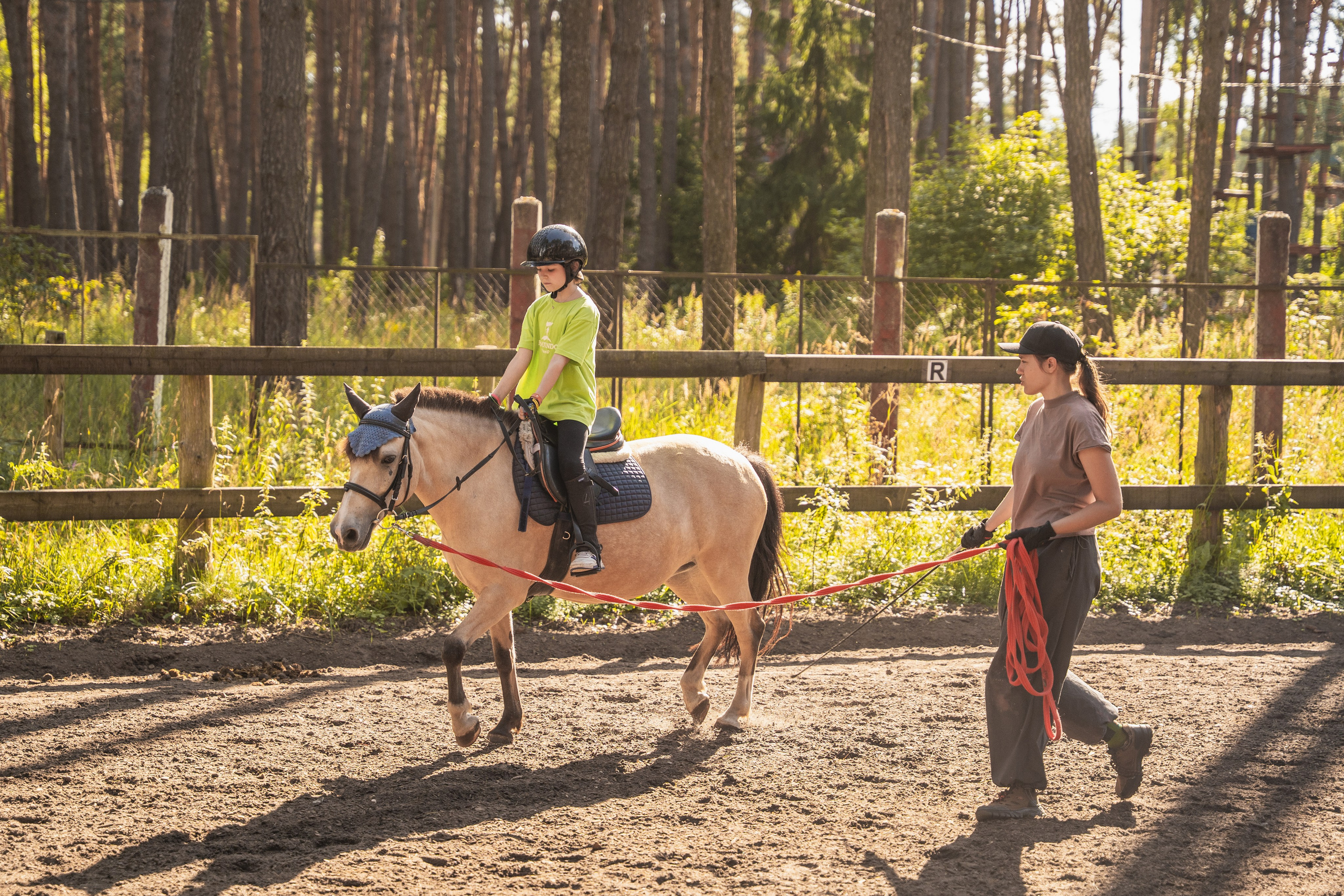 Конное занятие. Главная
