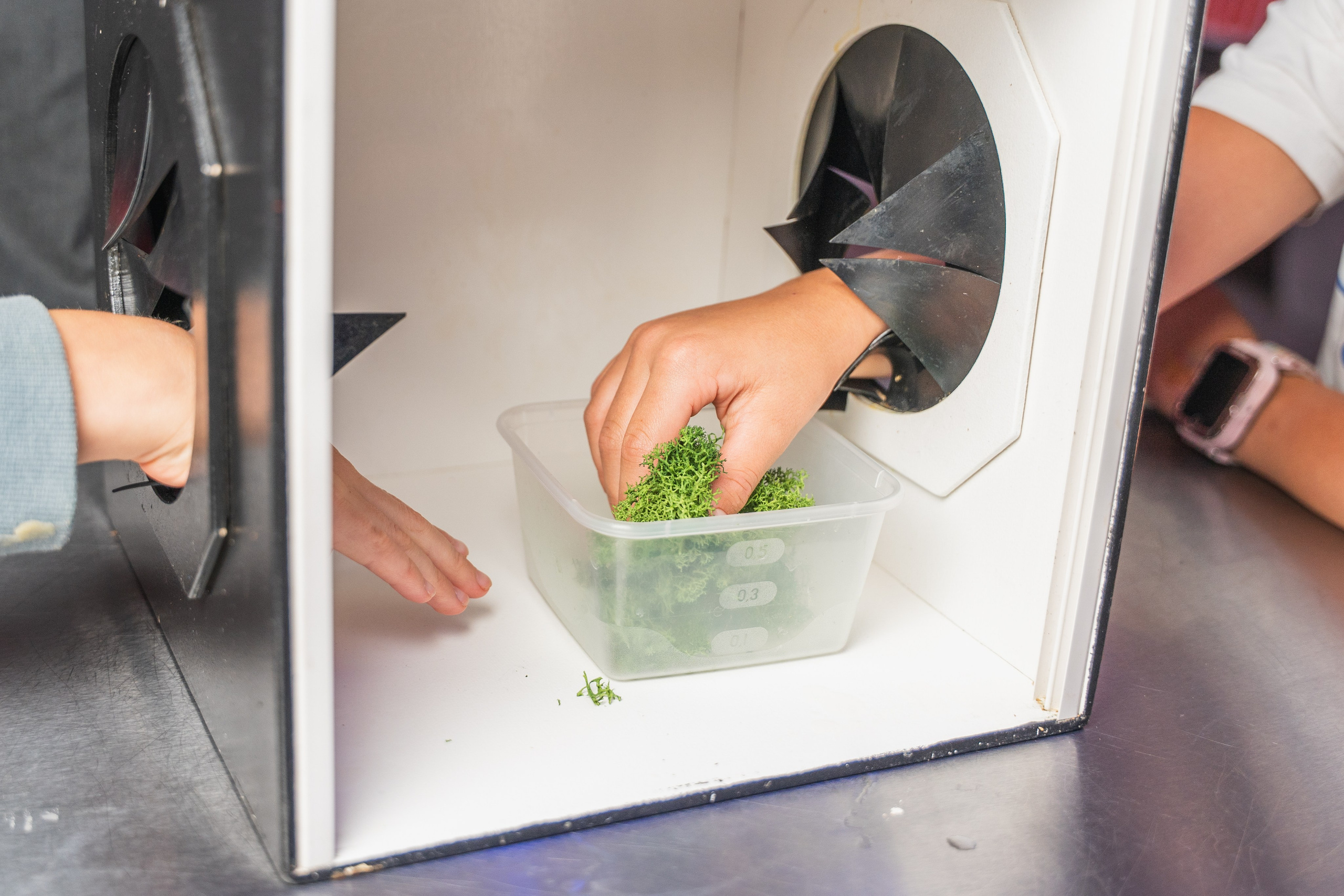 День рождения Рома. Главная