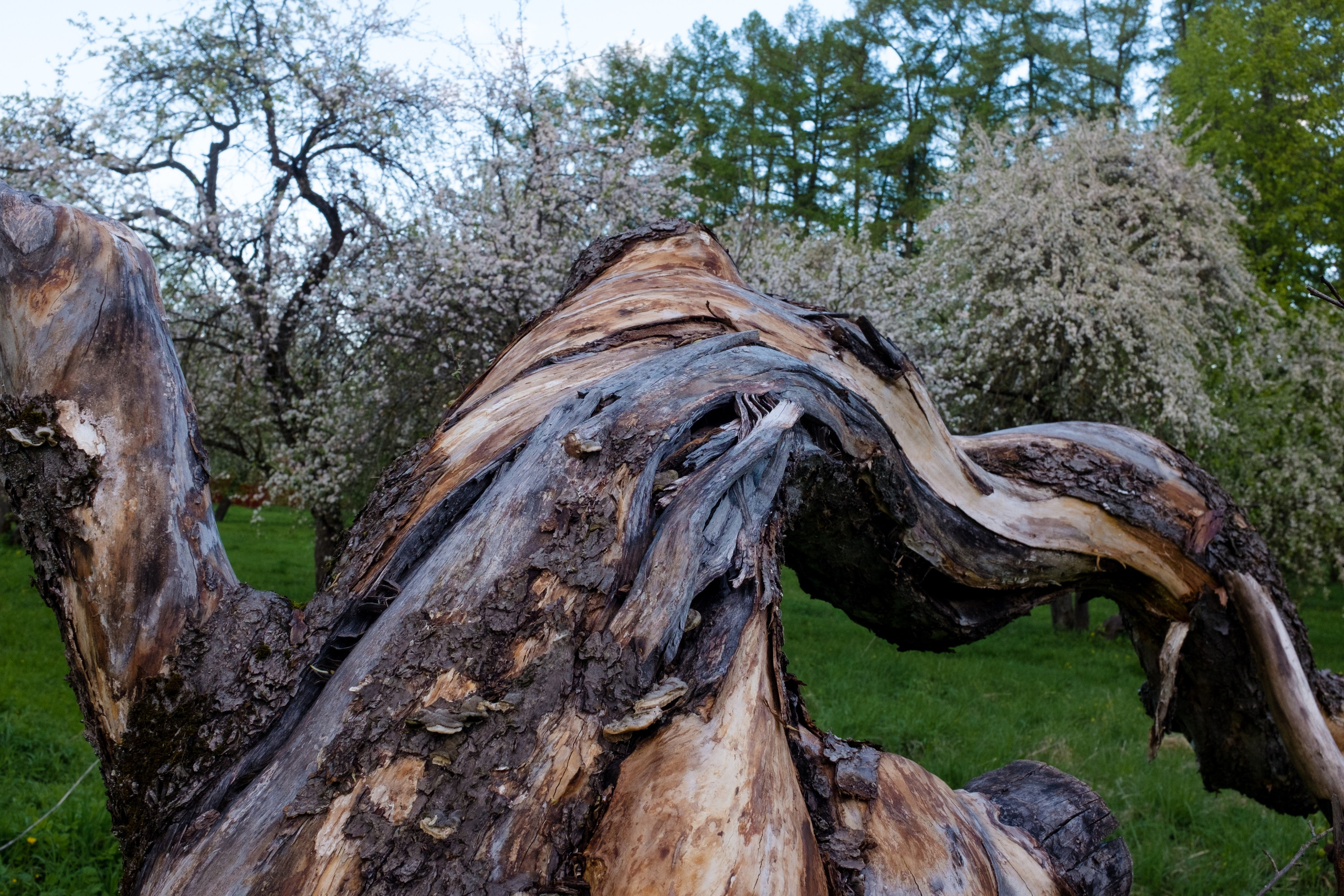 Singles 2. Alyona Kochetkova | Photographer and photography educator