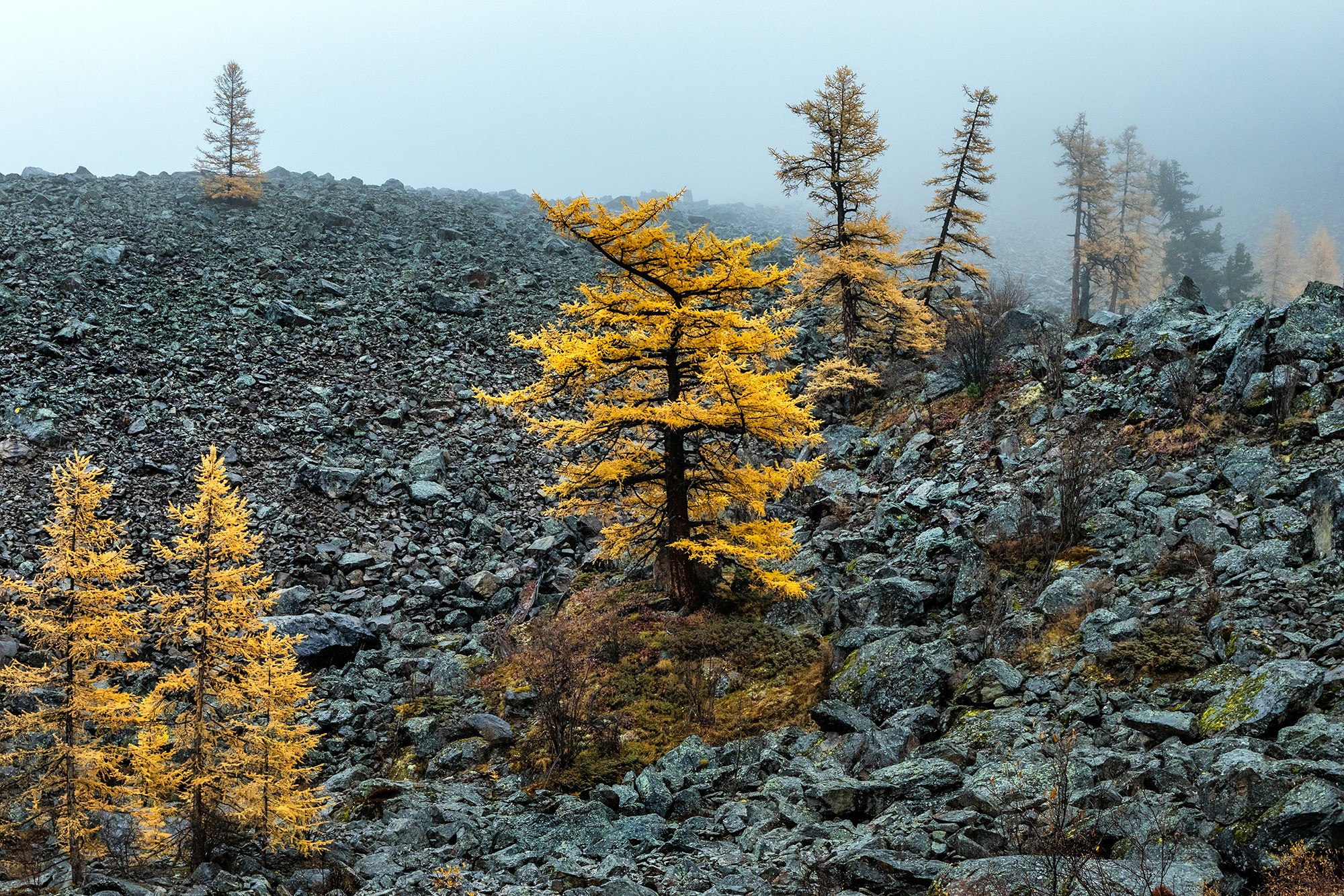 Алтай. Фотограф Владимир Остапенко
