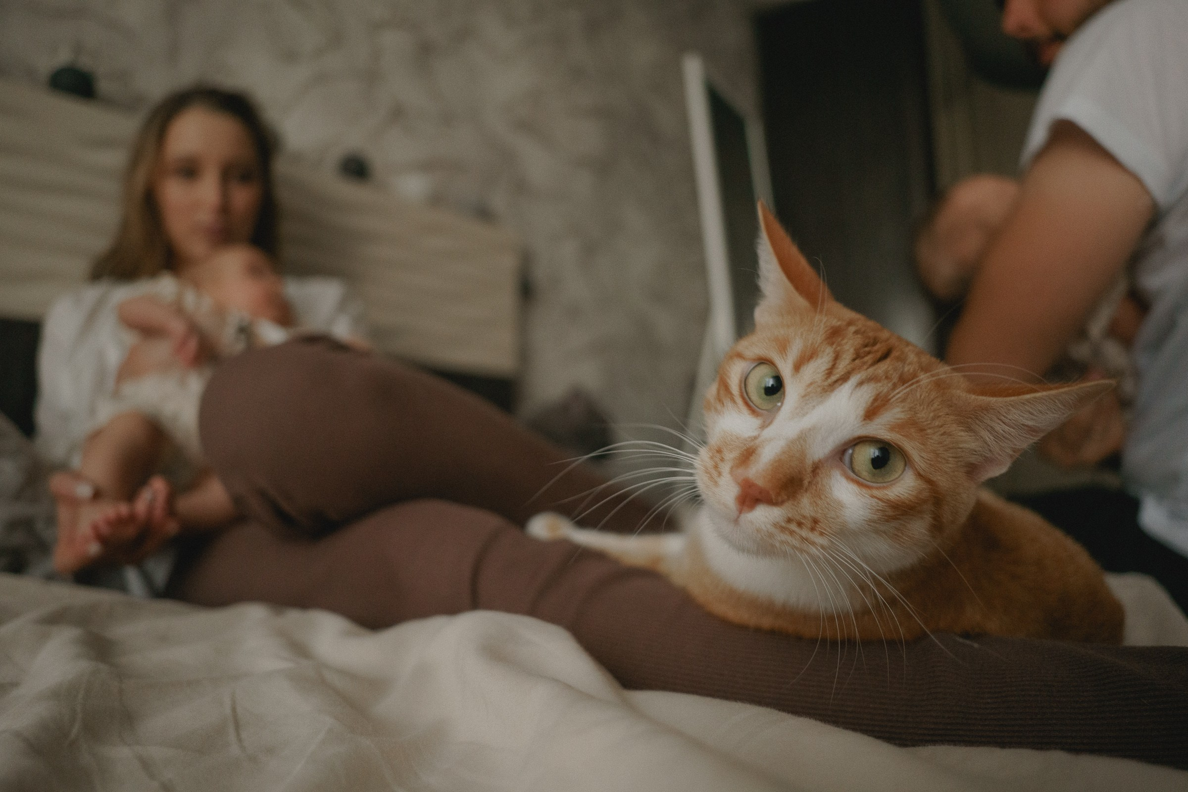 Там где кошки поют…. Свадебный и семейный фотограф в Абакане Василевский Алексей