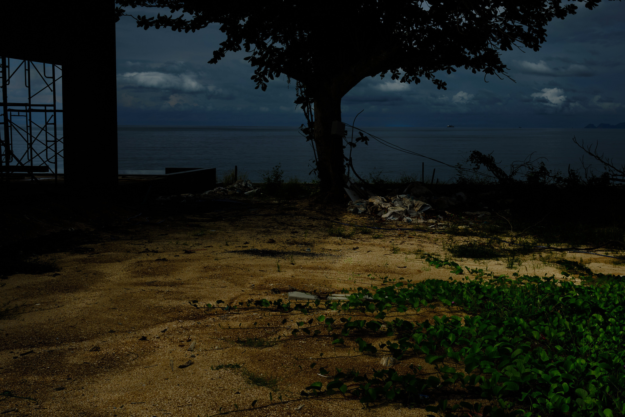 Творчество. Фотограф Лука Бутомо