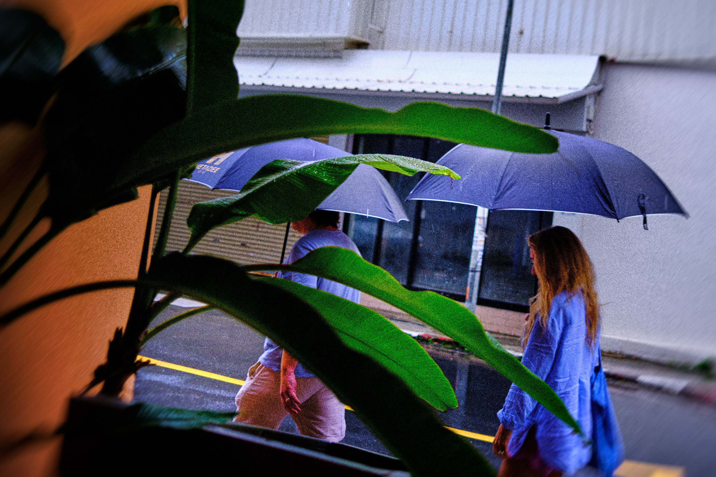 Творчество. Фотограф Лука Бутомо