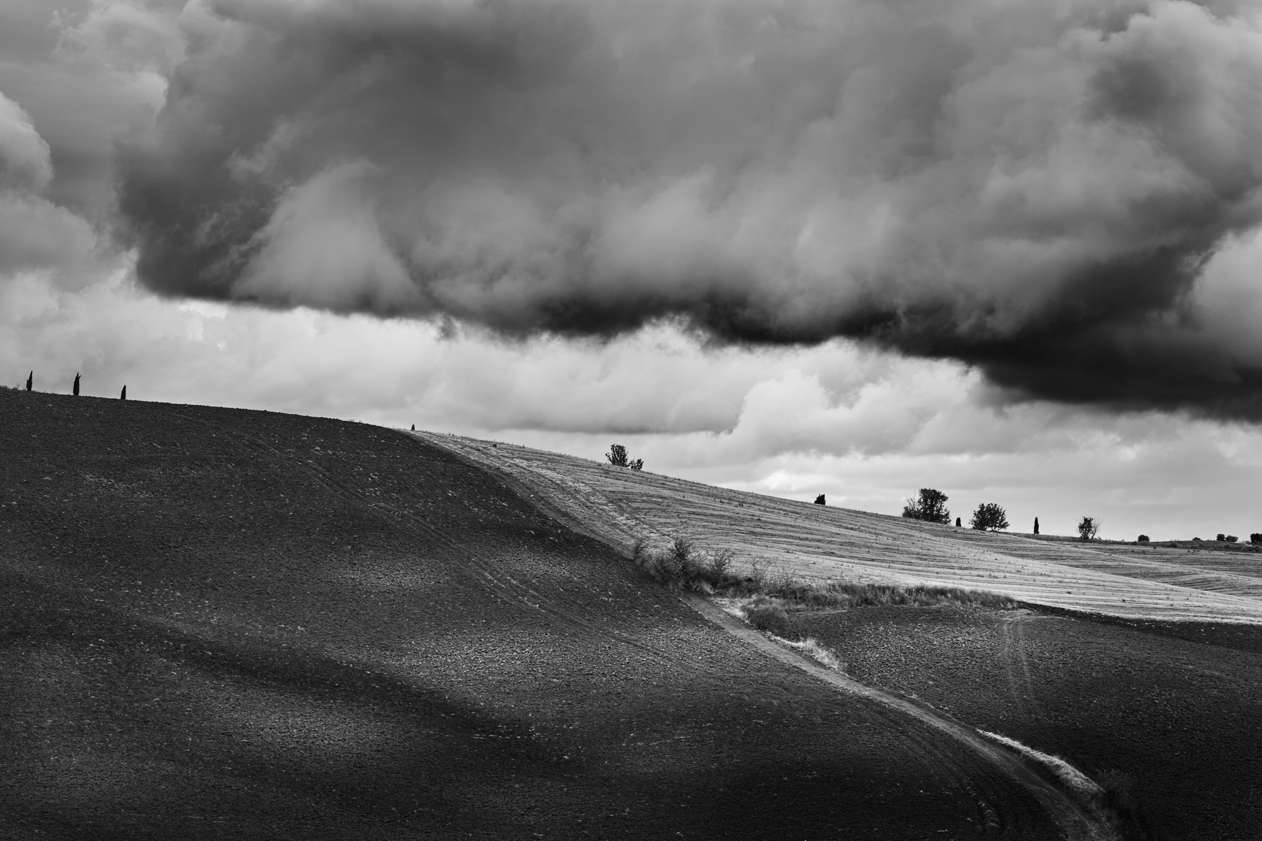 Творчество. Фотограф Лука Бутомо
