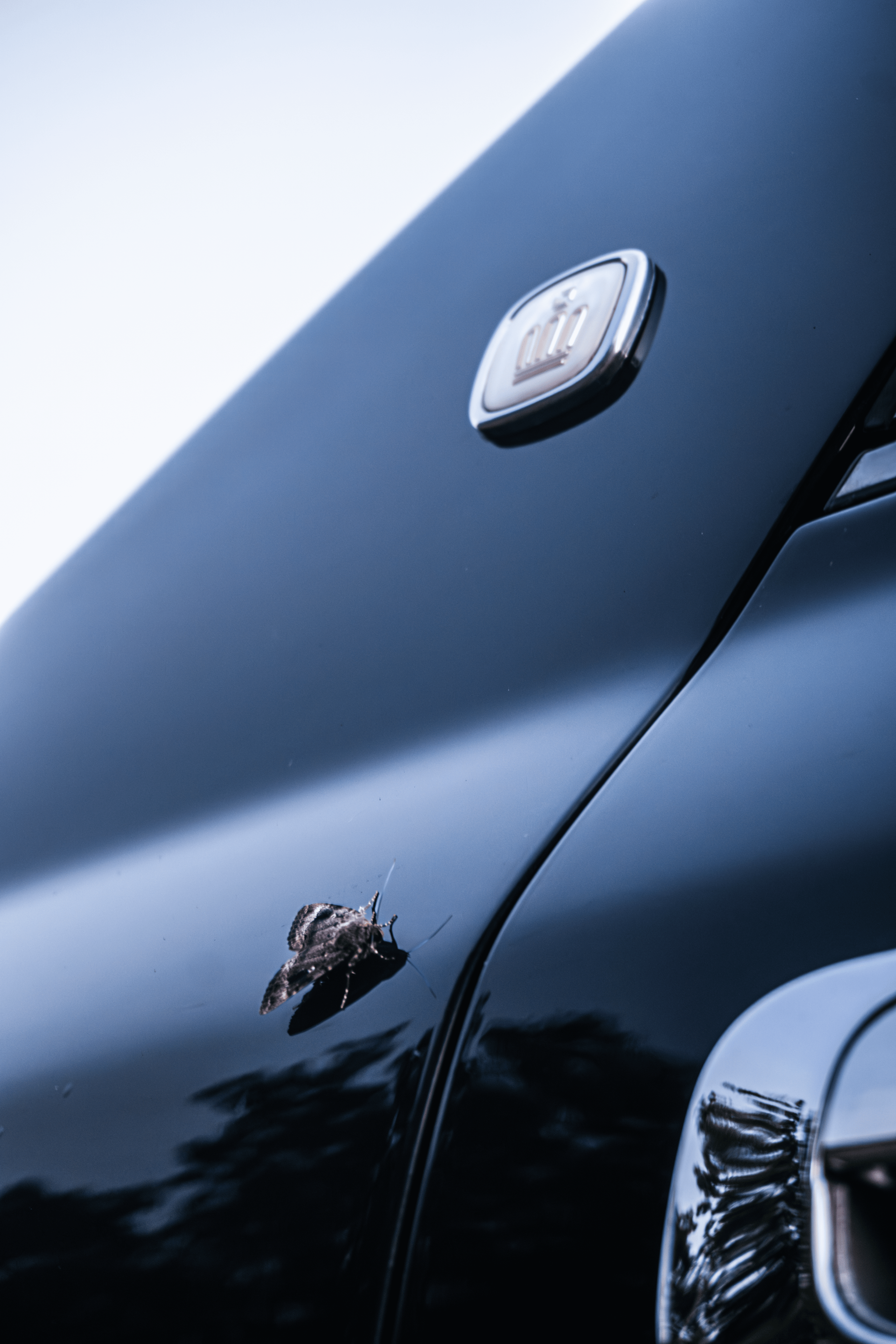 Toyota Crown S155: бриллиант в стенс-короне Владивостока