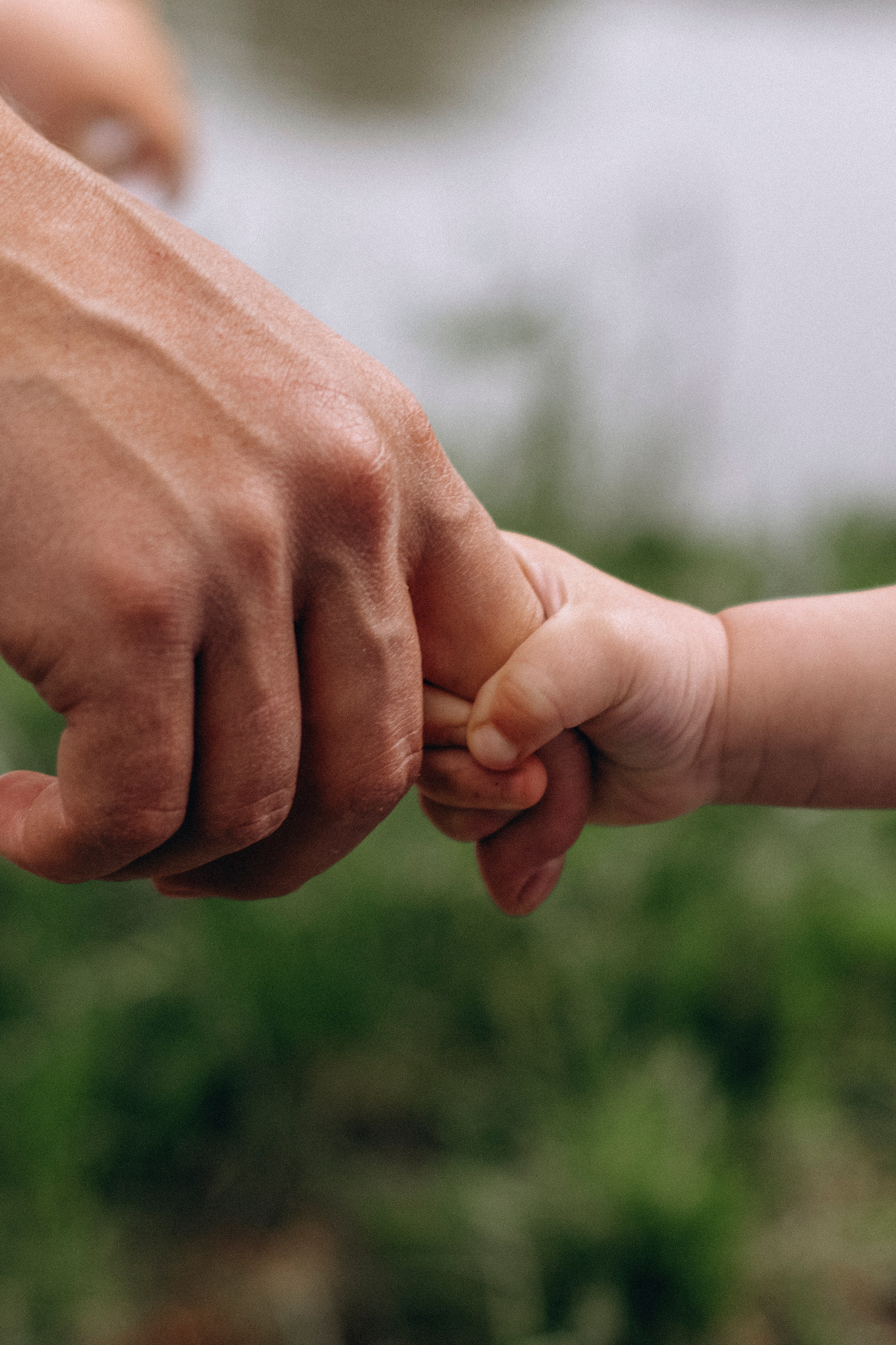 Пикник на пруду. Главная